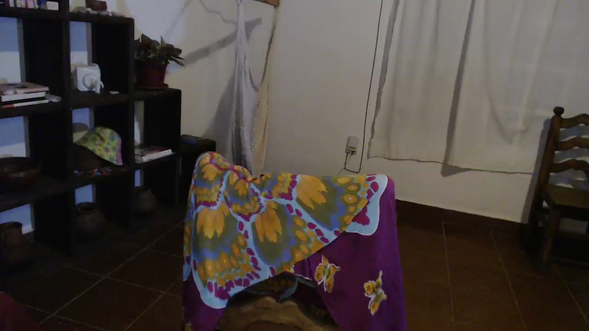 Gallery image thumbnail from StacySunshine's myfreecams stream on, 05/16/2024, 03:37 image 2 of 20
