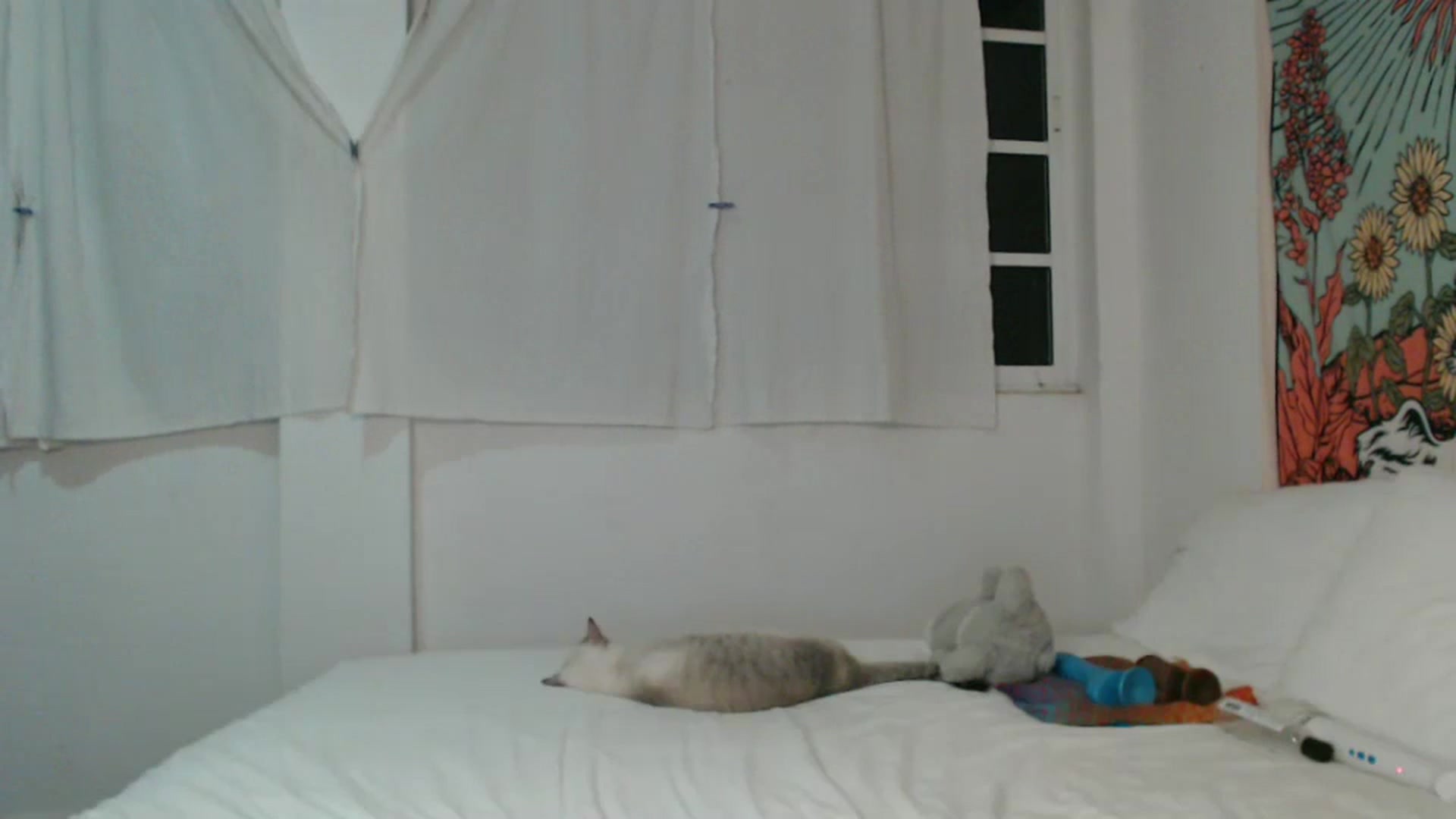 Gallery image thumbnail from StacySunshine's myfreecams stream on, 08/28/2025, 03:43 image 11 of 20