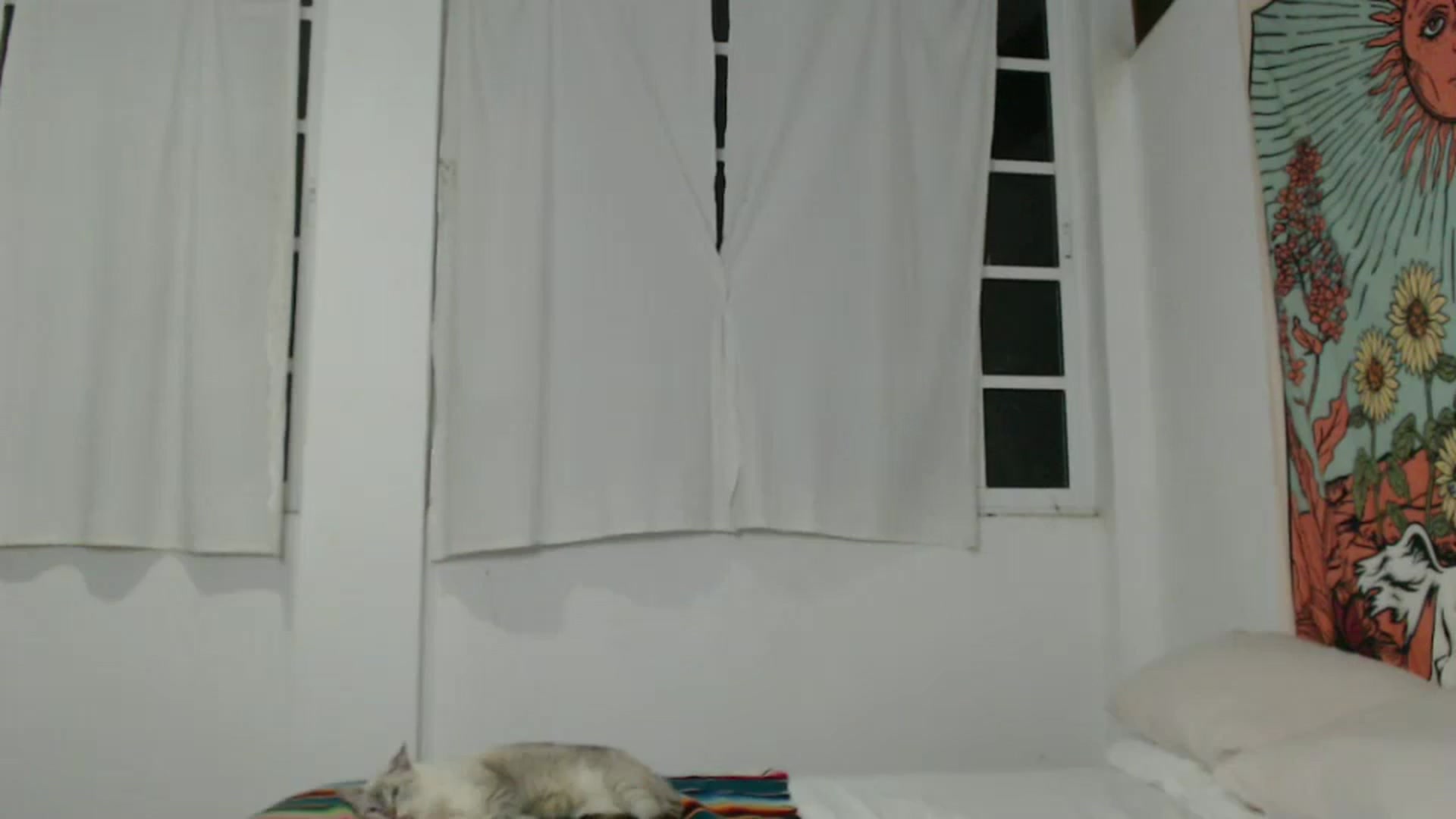 Gallery image thumbnail from StacySunshine's myfreecams stream on, 11/04/2025, 02:40 image 17 of 20