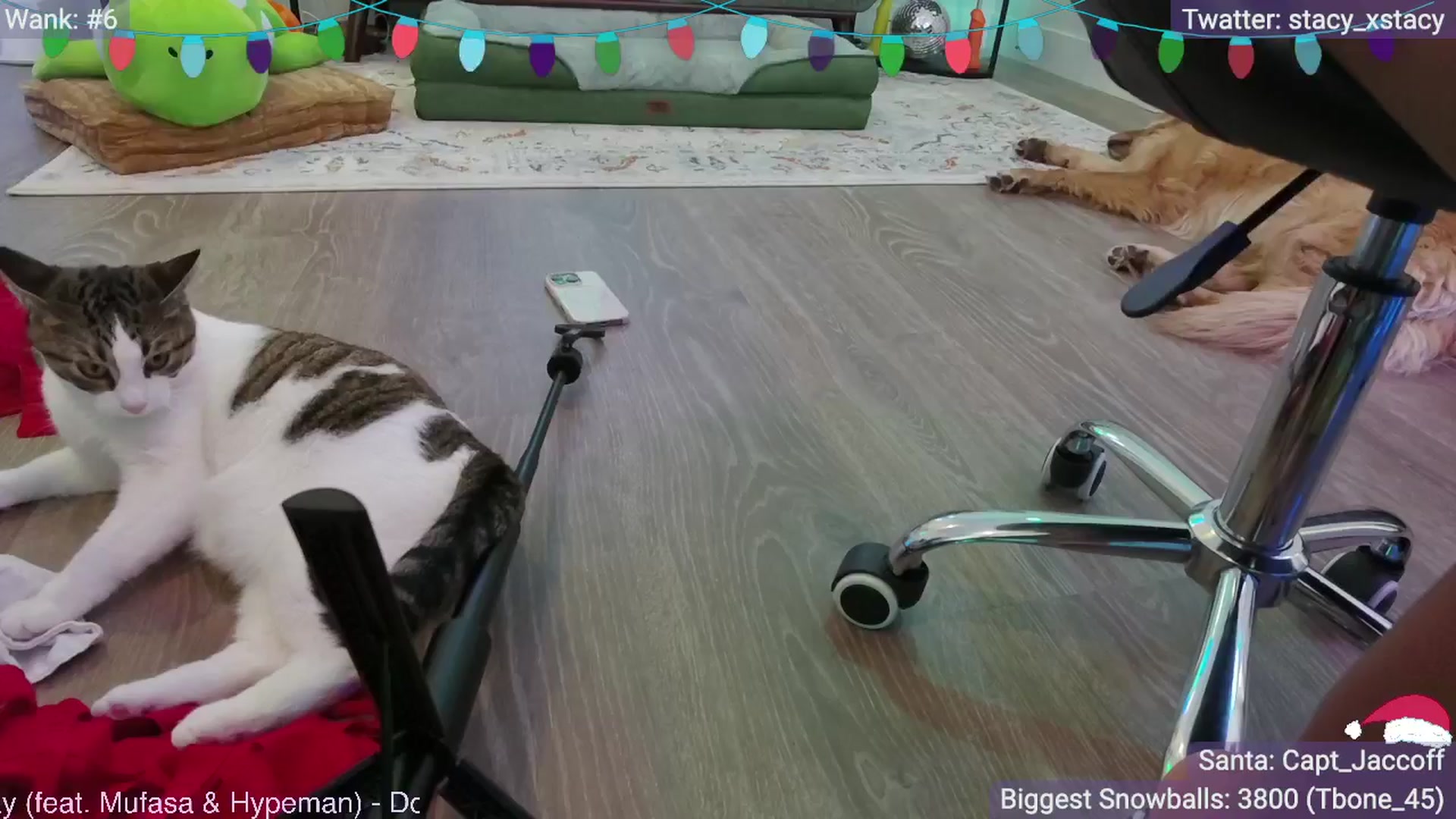 Gallery image thumbnail from Stacy_x3's myfreecams stream on, 12/04/2025, 09:03 image 18 of 20
