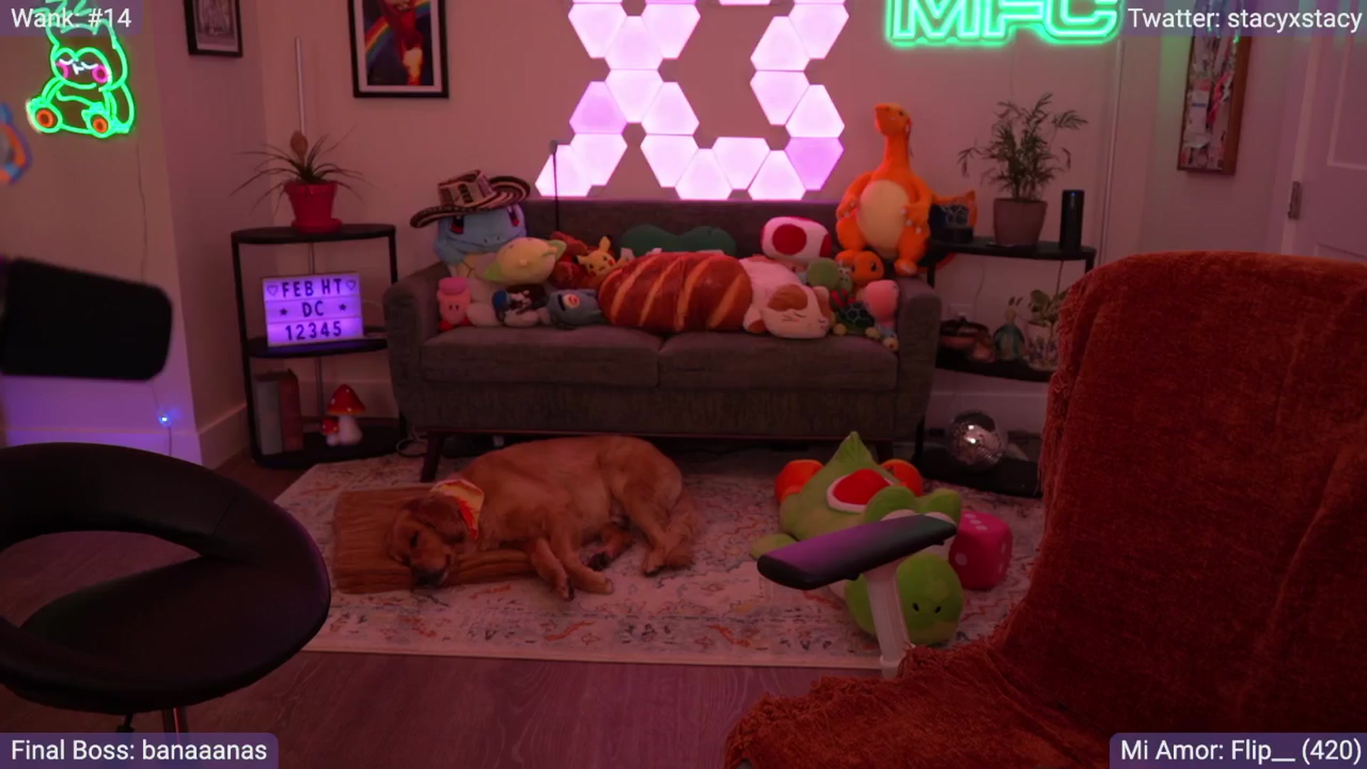 Gallery image thumbnail from Stacy_x3's myfreecams stream on, 02/13/2026, 08:53 image 2 of 20