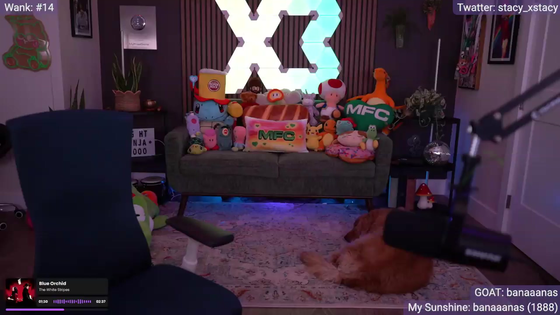 Gallery image thumbnail from Stacy_x3's myfreecams stream on, 08/10/2026, 06:13 image 12 of 20