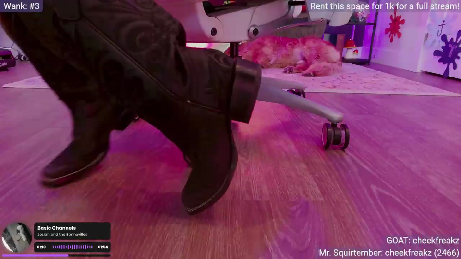 Gallery image thumbnail from Stacy_x3's myfreecams stream on, 09/13/2026, 07:51 image 9 of 20