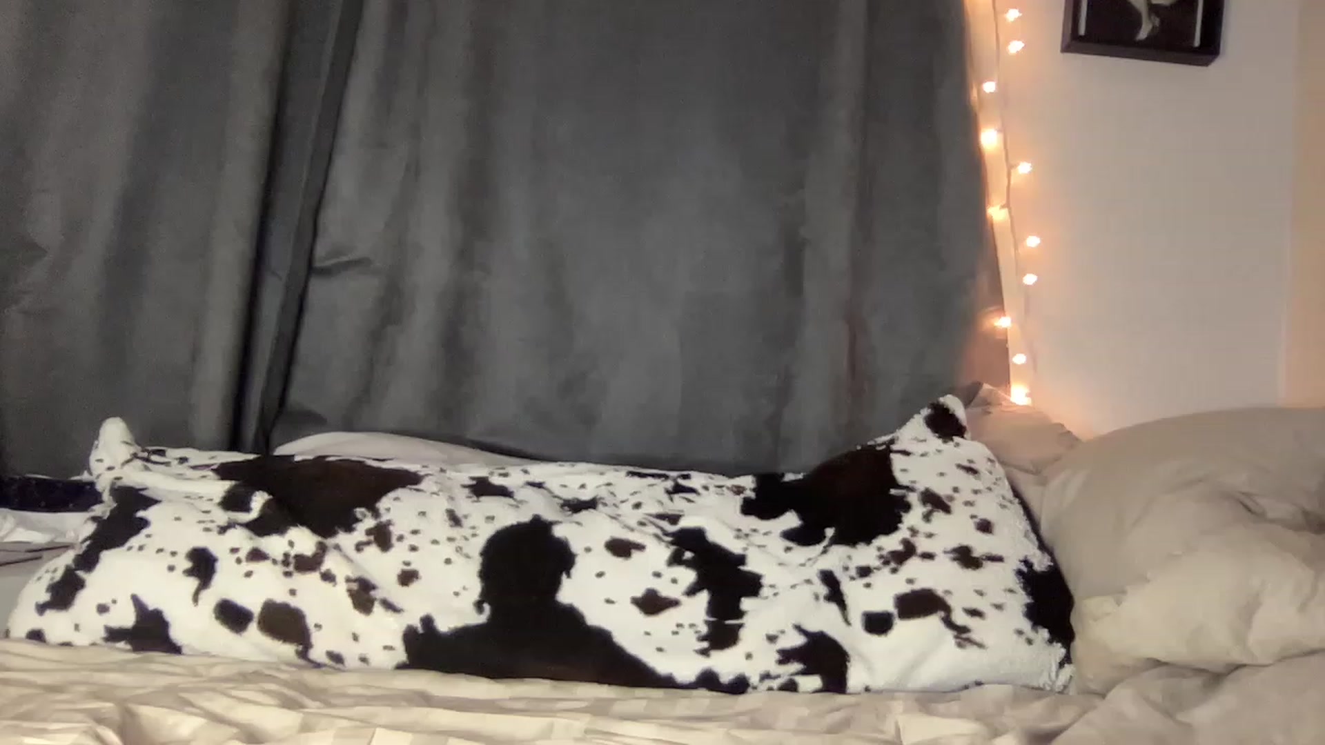 Gallery image thumbnail from Stacywinters's myfreecams stream on, 01/15/2023, 11:35 image 13 of 20