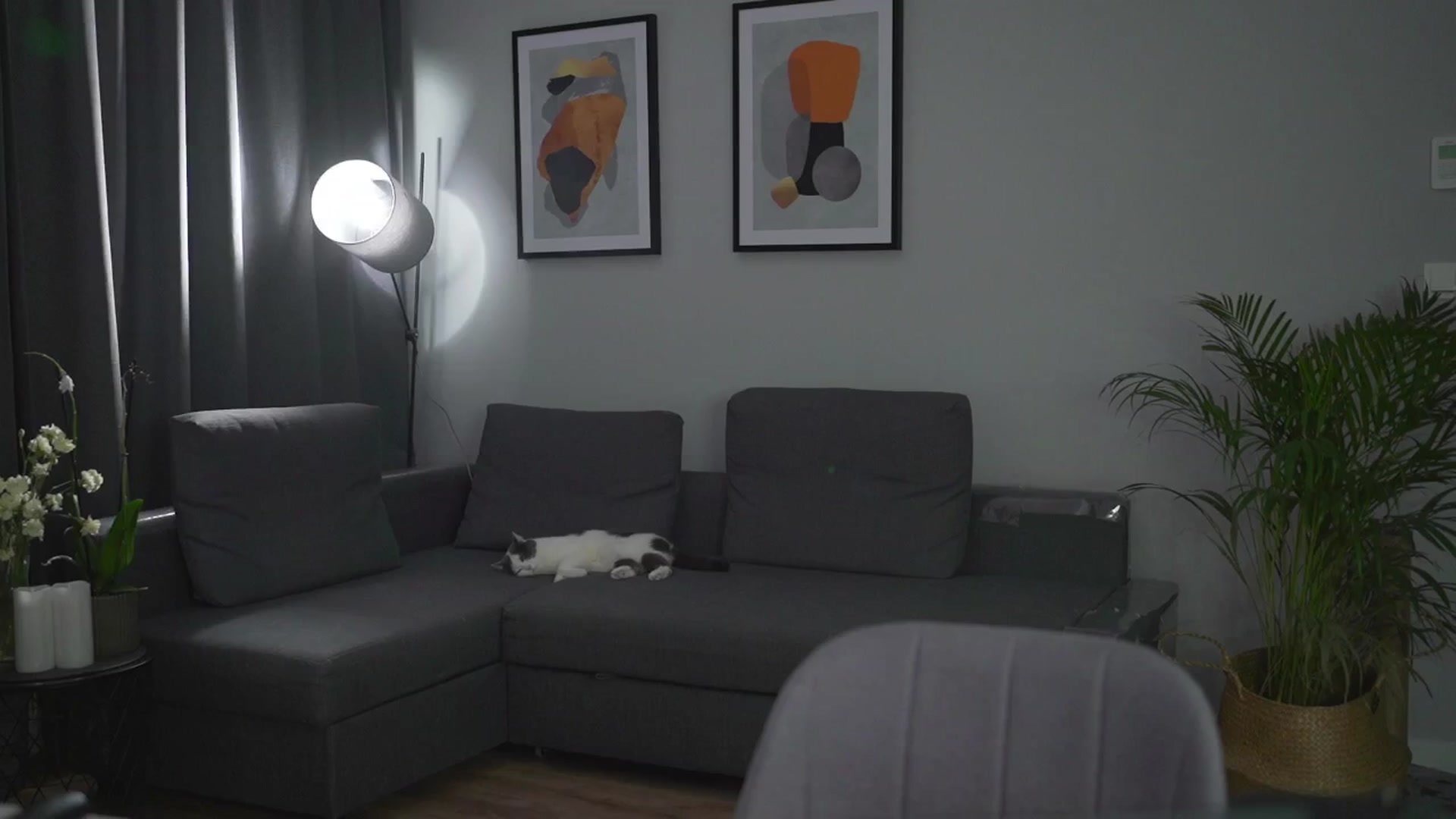 Gallery image thumbnail from Stacywithyou's myfreecams stream on, 07/30/2025, 23:10 image 3 of 20