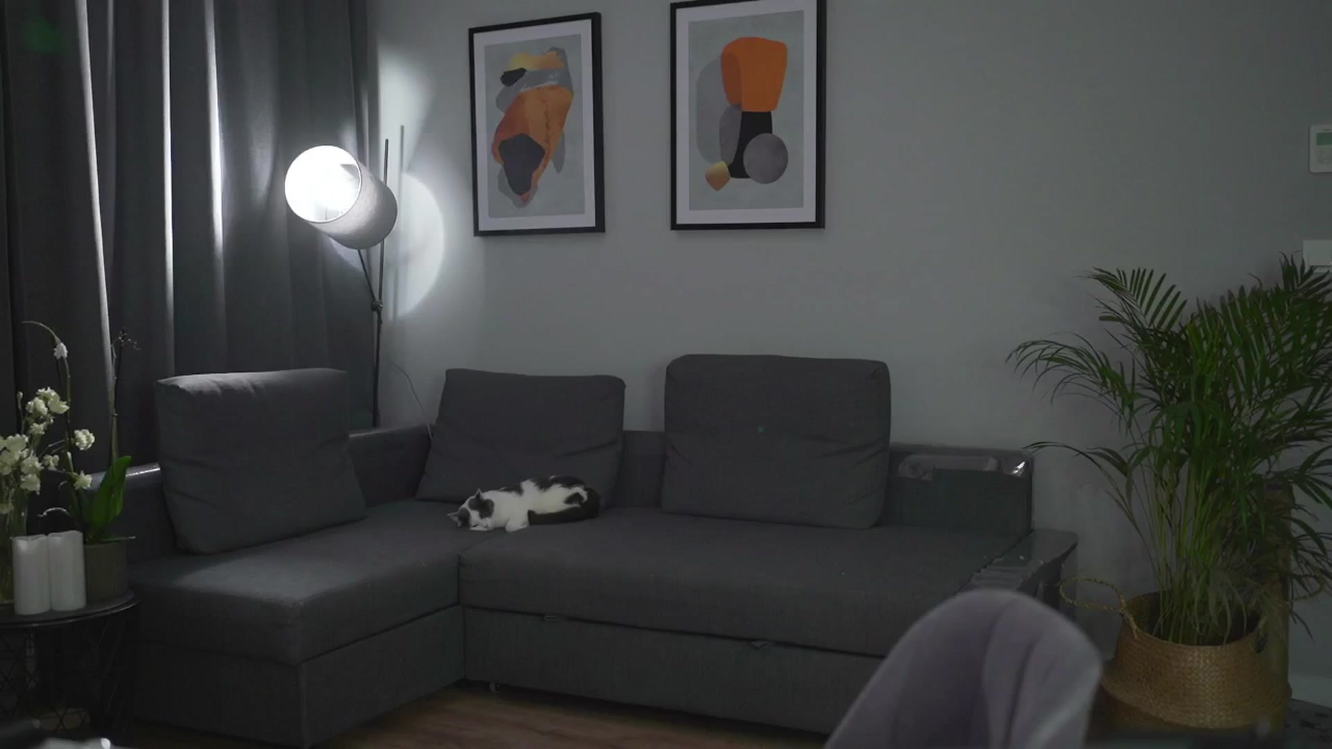 Gallery image thumbnail from Stacywithyou's myfreecams stream on, 07/31/2025, 24:03 image 10 of 20