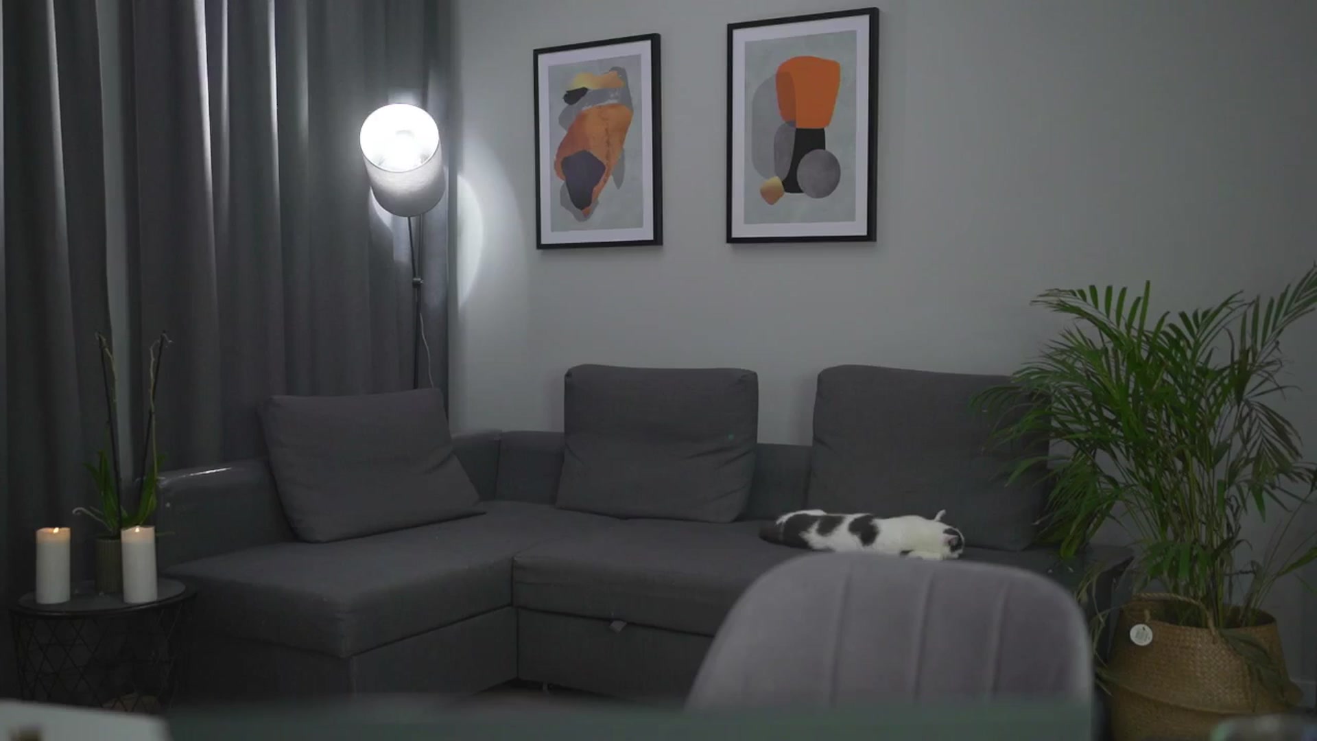 Gallery image thumbnail from Stacywithyou's myfreecams stream on, 08/07/2025, 24:11 image 11 of 20