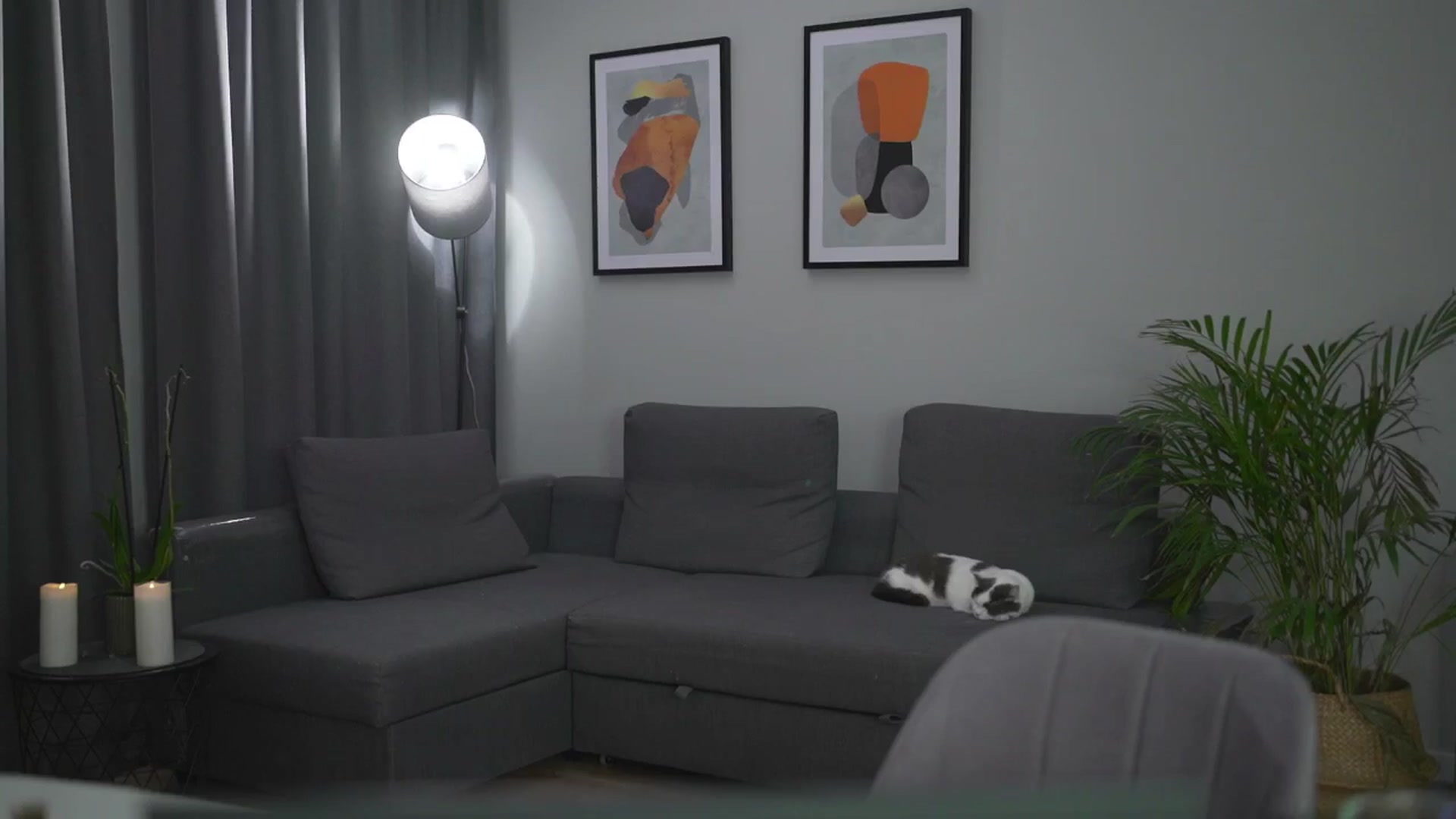 Gallery image thumbnail from Stacywithyou's myfreecams stream on, 08/07/2025, 24:11 image 10 of 20