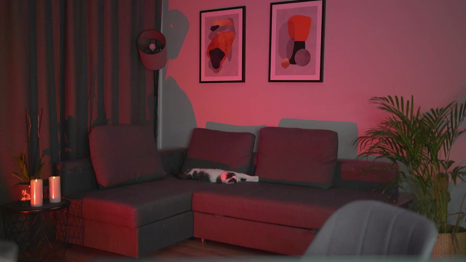 Gallery image thumbnail from Stacywithyou's myfreecams stream on, 08/15/2025, 22:35 image 5 of 20