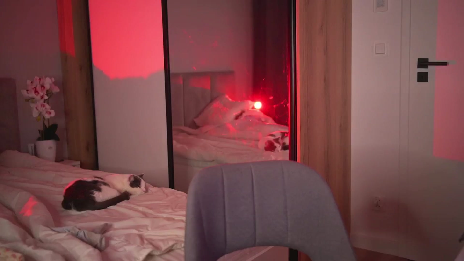 Gallery image thumbnail from Stacywithyou's myfreecams stream on, 09/21/2025, 24:18 image 5 of 20