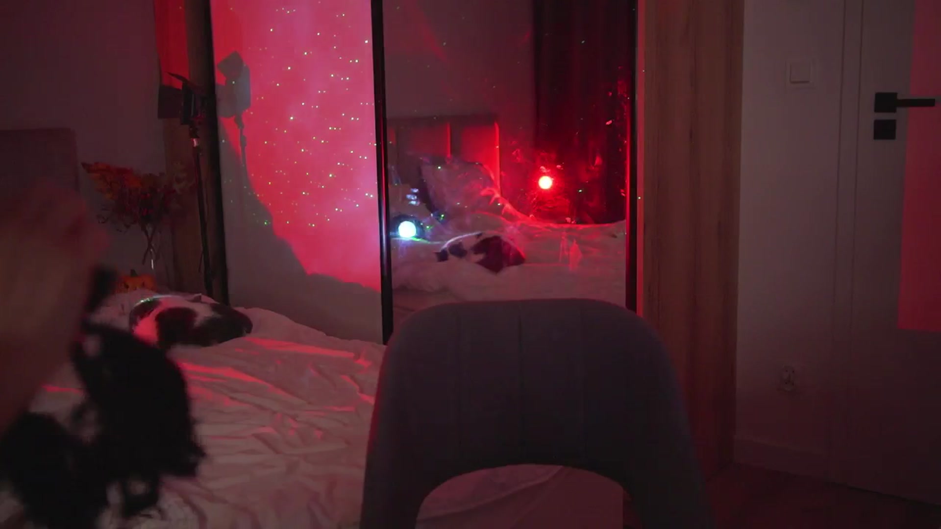 Gallery image thumbnail from Stacywithyou's myfreecams stream on, 11/03/2025, 01:19 image 2 of 20