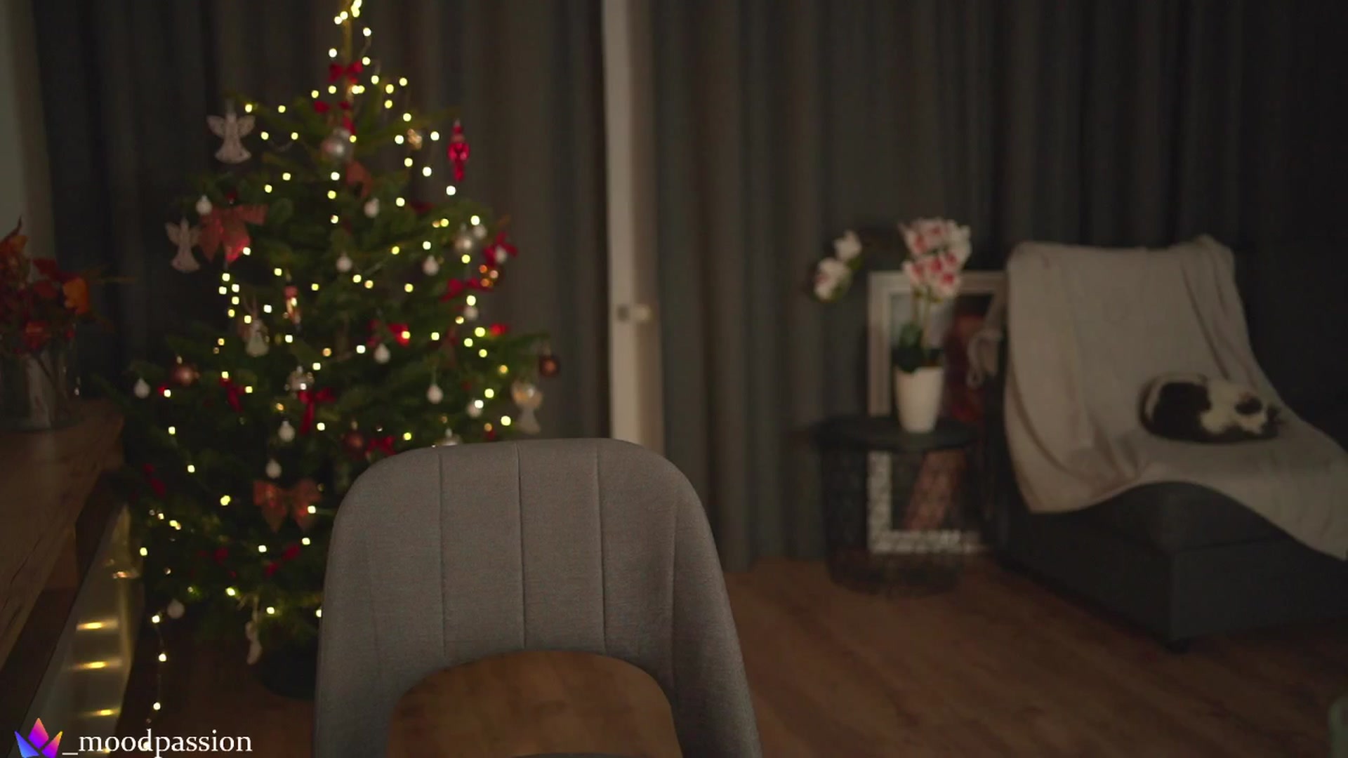 Gallery image thumbnail from Stacywithyou's myfreecams stream on, 12/26/2025, 24:43 image 6 of 20