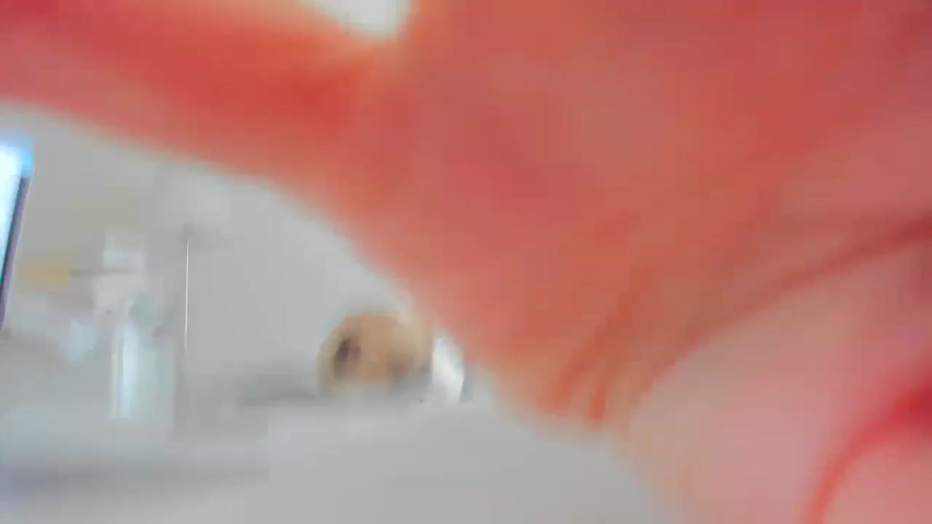 Gallery image thumbnail from StandardWoman's myfreecams stream on, 07/31/2023, 10:30 image 20 of 20