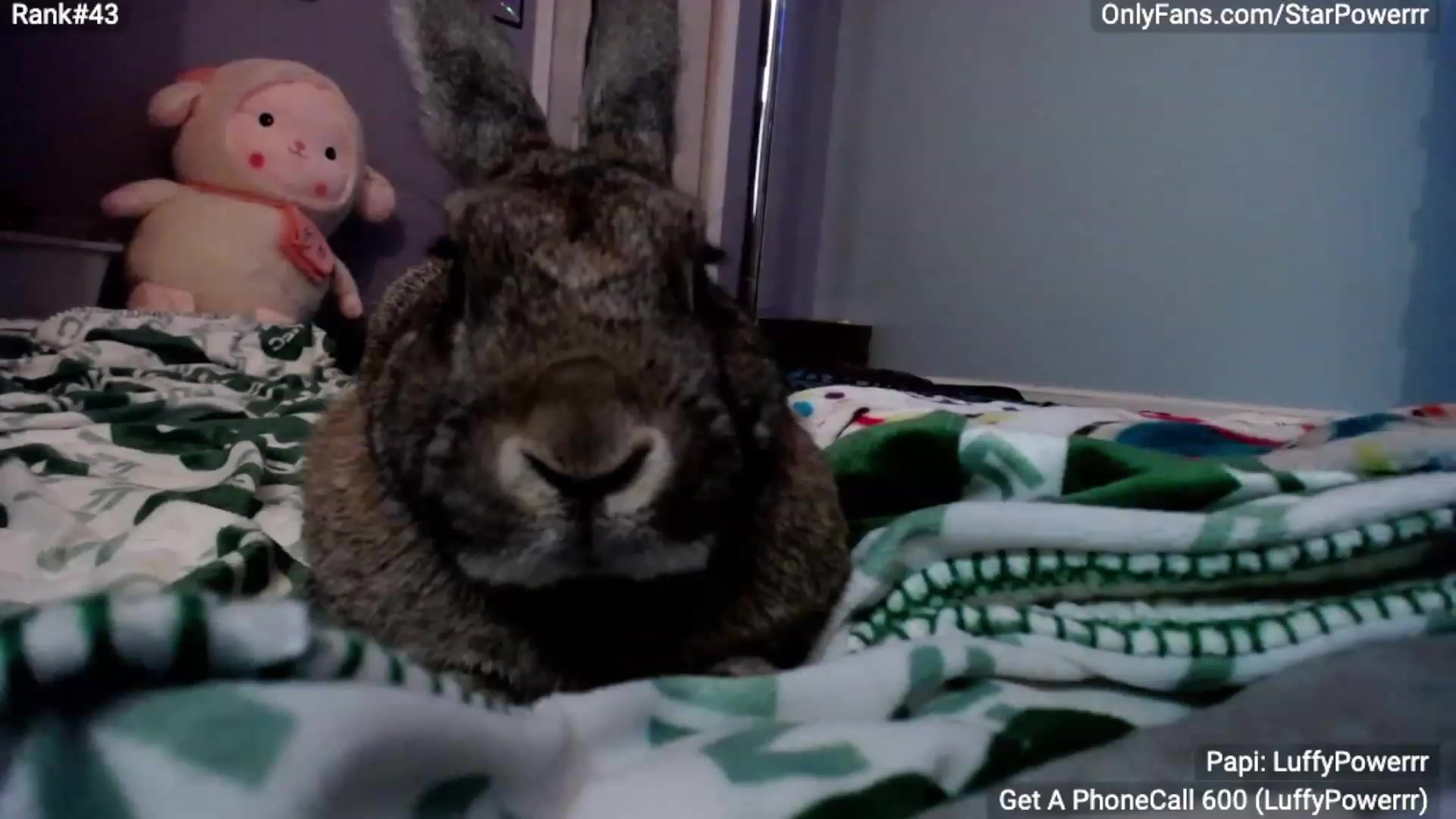 Gallery image thumbnail from StarPowerrr's myfreecams stream on, 01/12/2023, 08:34 image 17 of 20