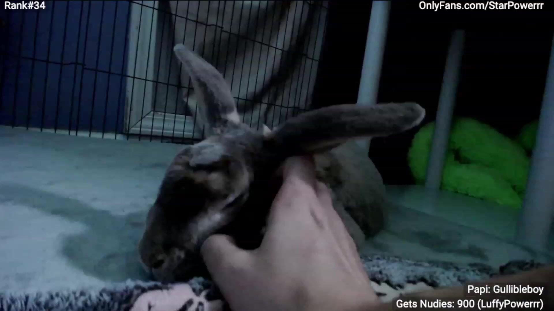 Gallery image thumbnail from StarPowerrr's myfreecams stream on, 03/07/2023, 05:44 image 16 of 20
