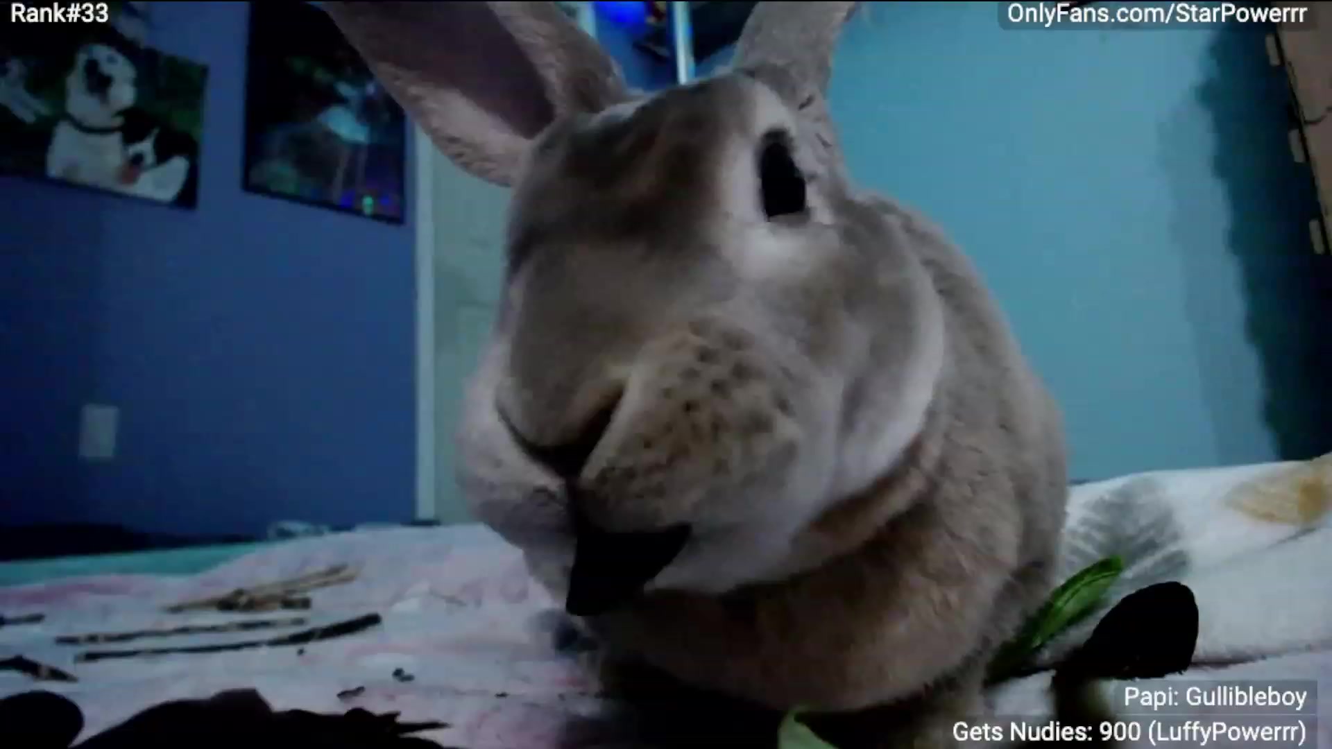 Gallery image thumbnail from StarPowerrr's myfreecams stream on, 03/07/2023, 05:44 image 9 of 20