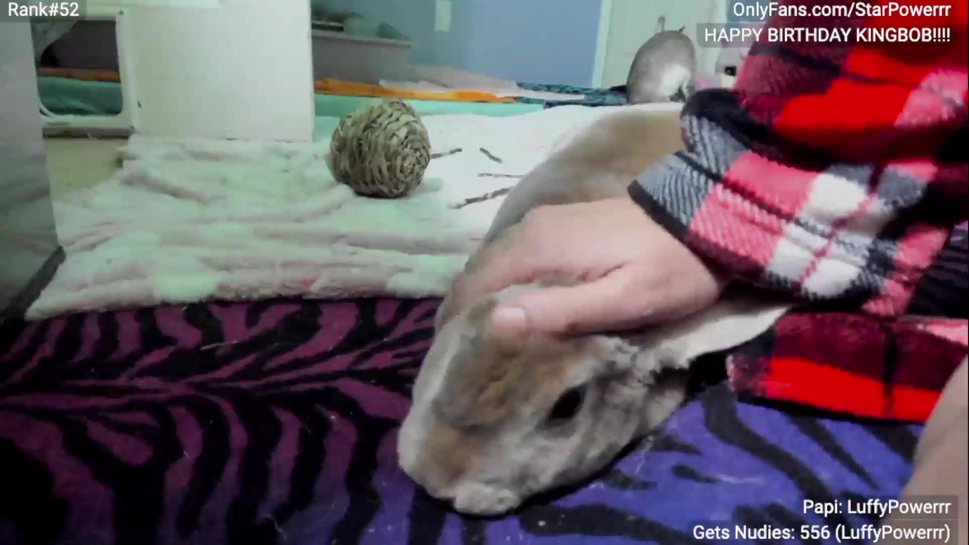 Gallery image thumbnail from StarPowerrr's myfreecams stream on, 03/23/2023, 09:04 image 4 of 20
