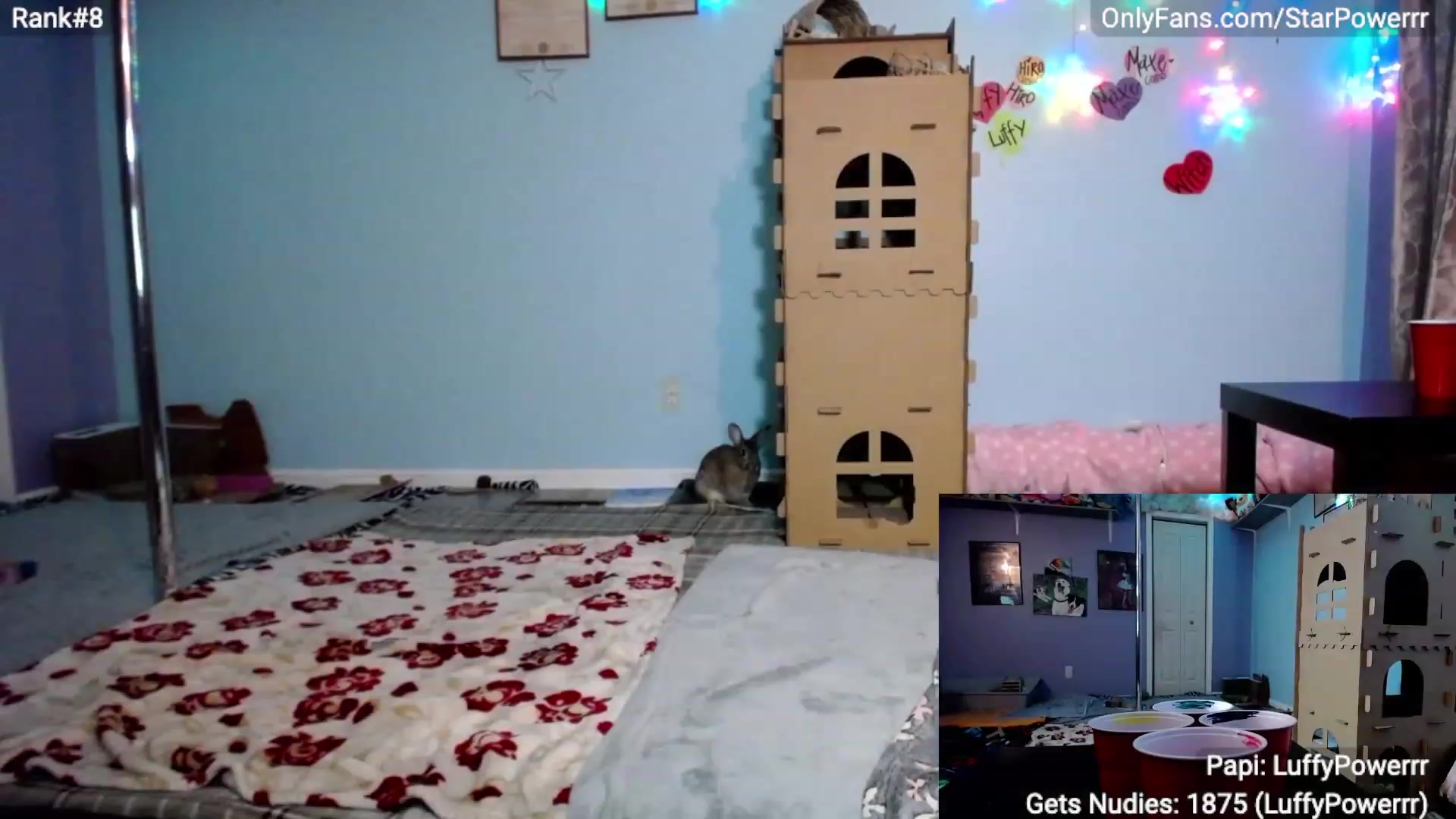 Gallery image thumbnail from StarPowerrr's myfreecams stream on, 04/22/2023, 09:17 image 7 of 20
