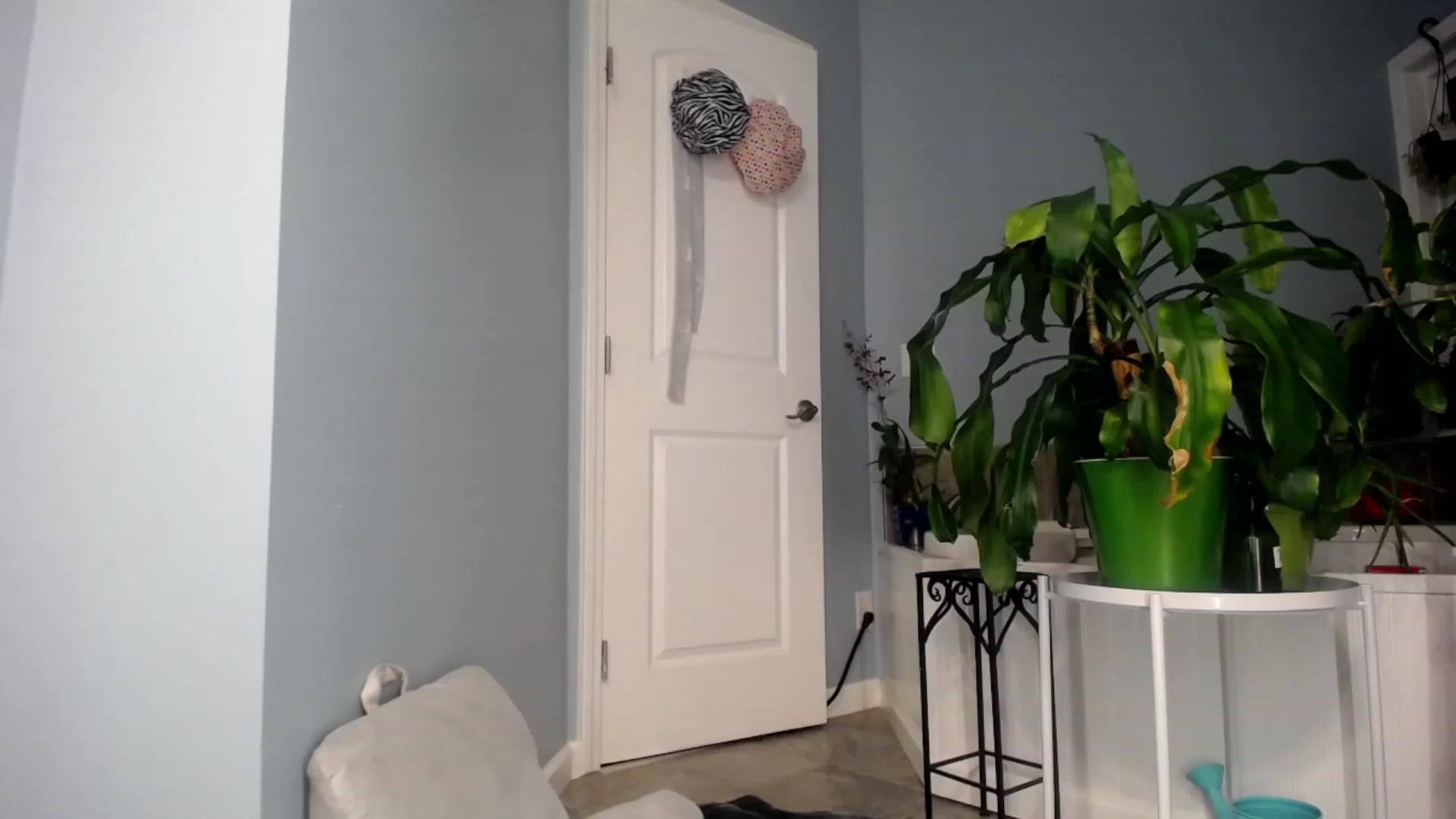 Gallery image thumbnail from StarPowerrr's myfreecams stream on, 04/25/2023, 09:15 image 6 of 20