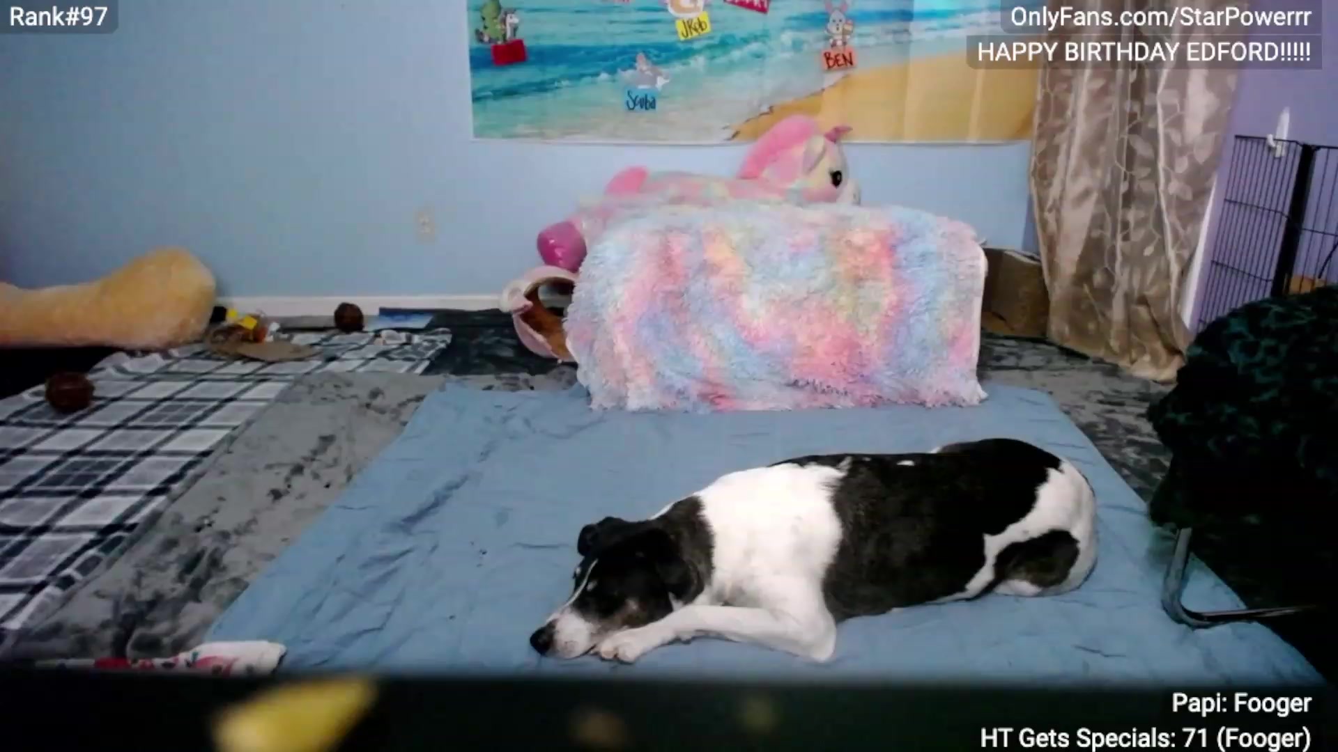 Gallery image thumbnail from StarPowerrr's myfreecams stream on, 08/08/2023, 05:43 image 4 of 20