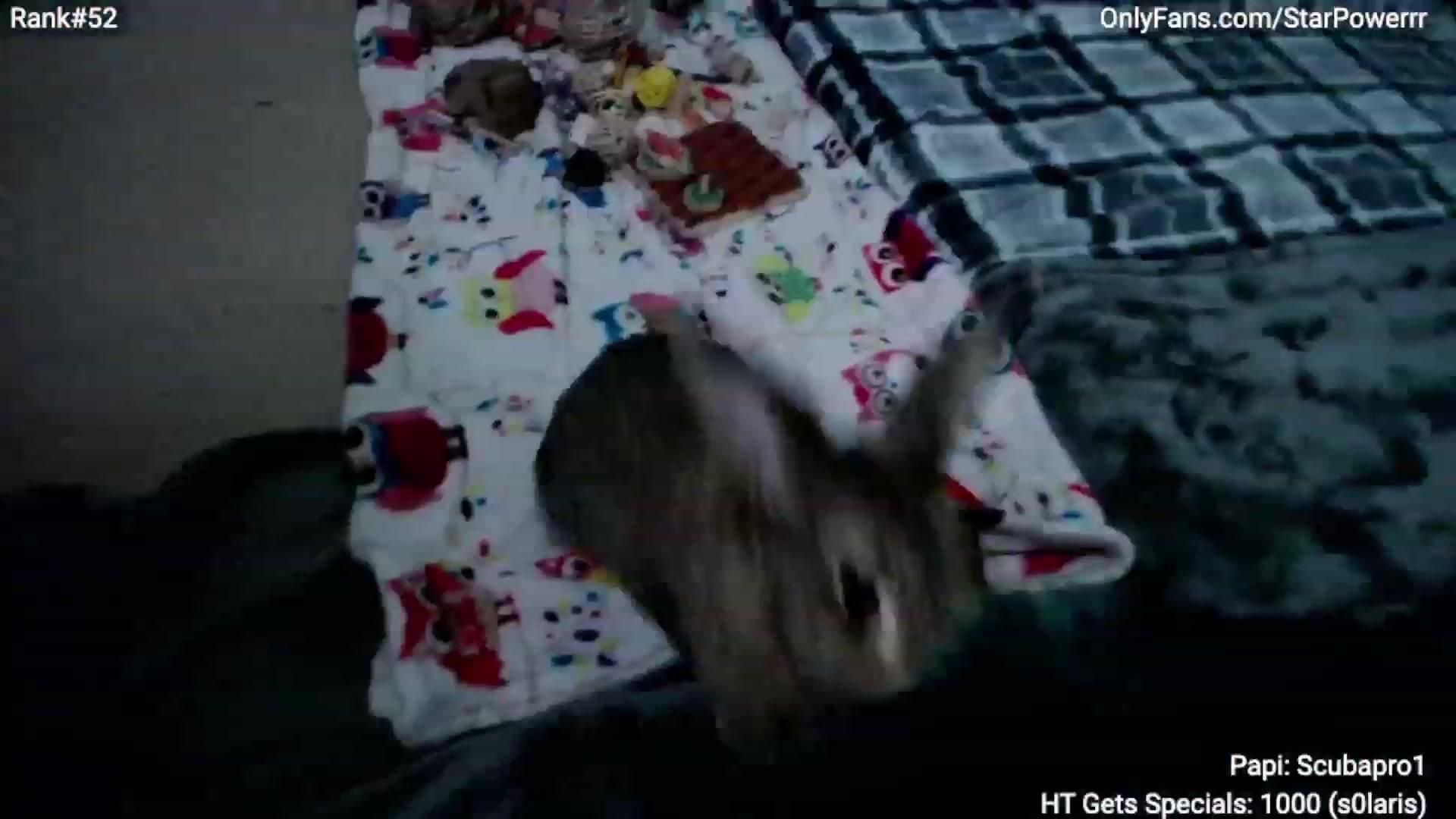 Gallery image thumbnail from StarPowerrr's myfreecams stream on, 08/19/2023, 11:52 image 1 of 20