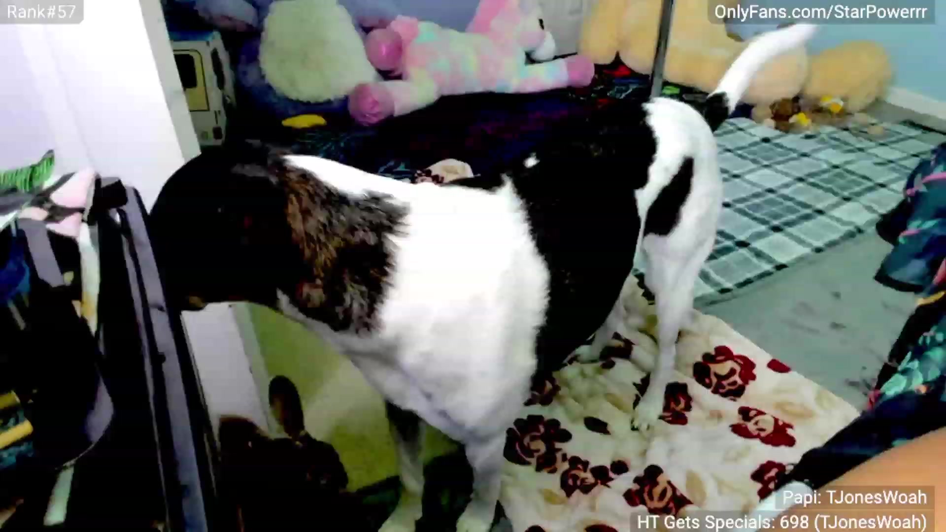 Gallery image thumbnail from StarPowerrr's myfreecams stream on, 08/27/2023, 06:44 image 10 of 20