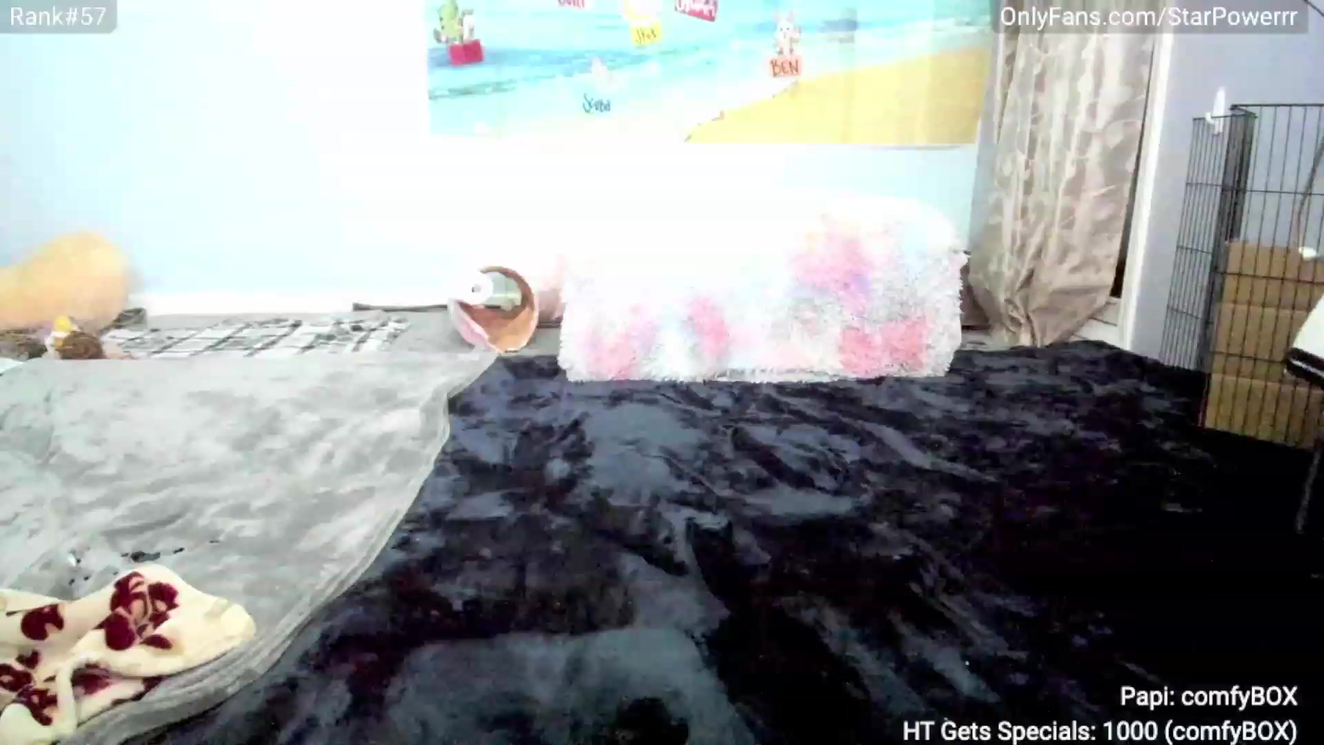 Gallery image thumbnail from StarPowerrr's myfreecams stream on, 09/12/2023, 05:04 image 9 of 20