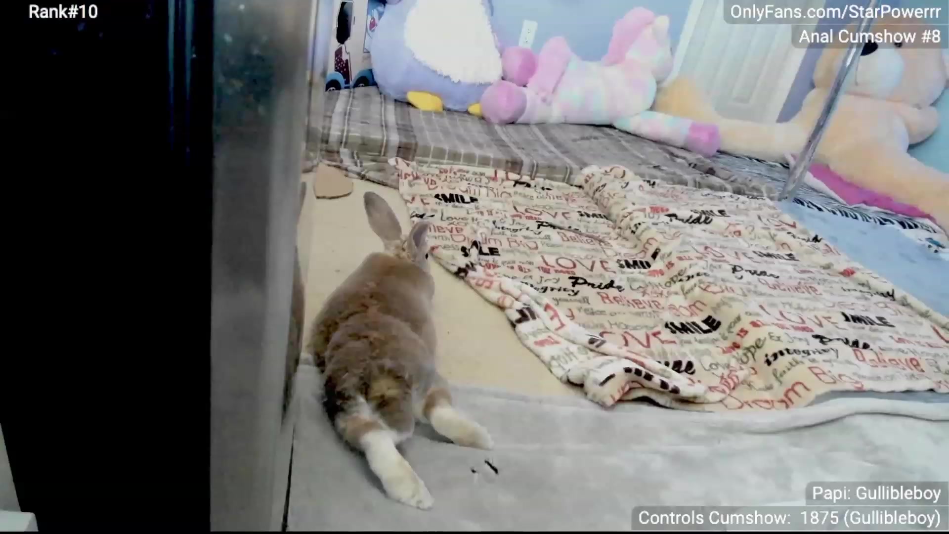 Gallery image thumbnail from StarPowerrr's myfreecams stream on, 11/10/2023, 08:58 image 7 of 20