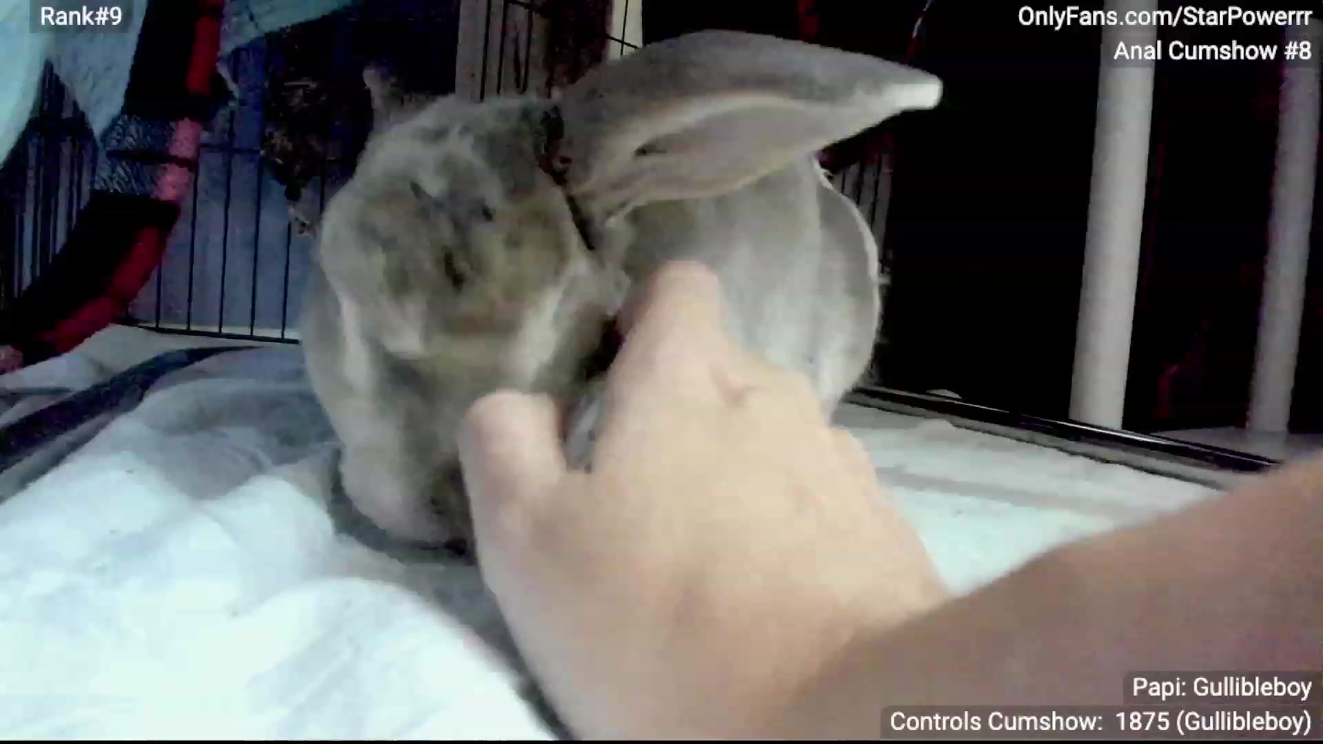 Gallery image thumbnail from StarPowerrr's myfreecams stream on, 11/10/2023, 11:37 image 12 of 20