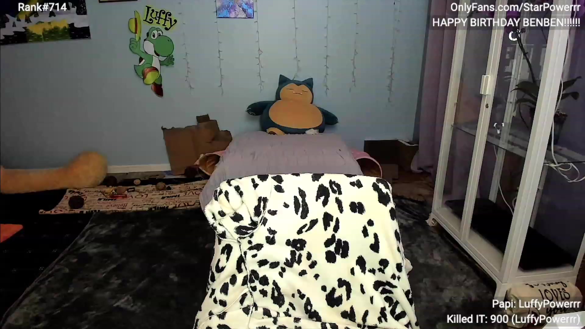 Gallery image thumbnail from StarPowerrr's myfreecams stream on, 02/03/2024, 05:24 image 11 of 20