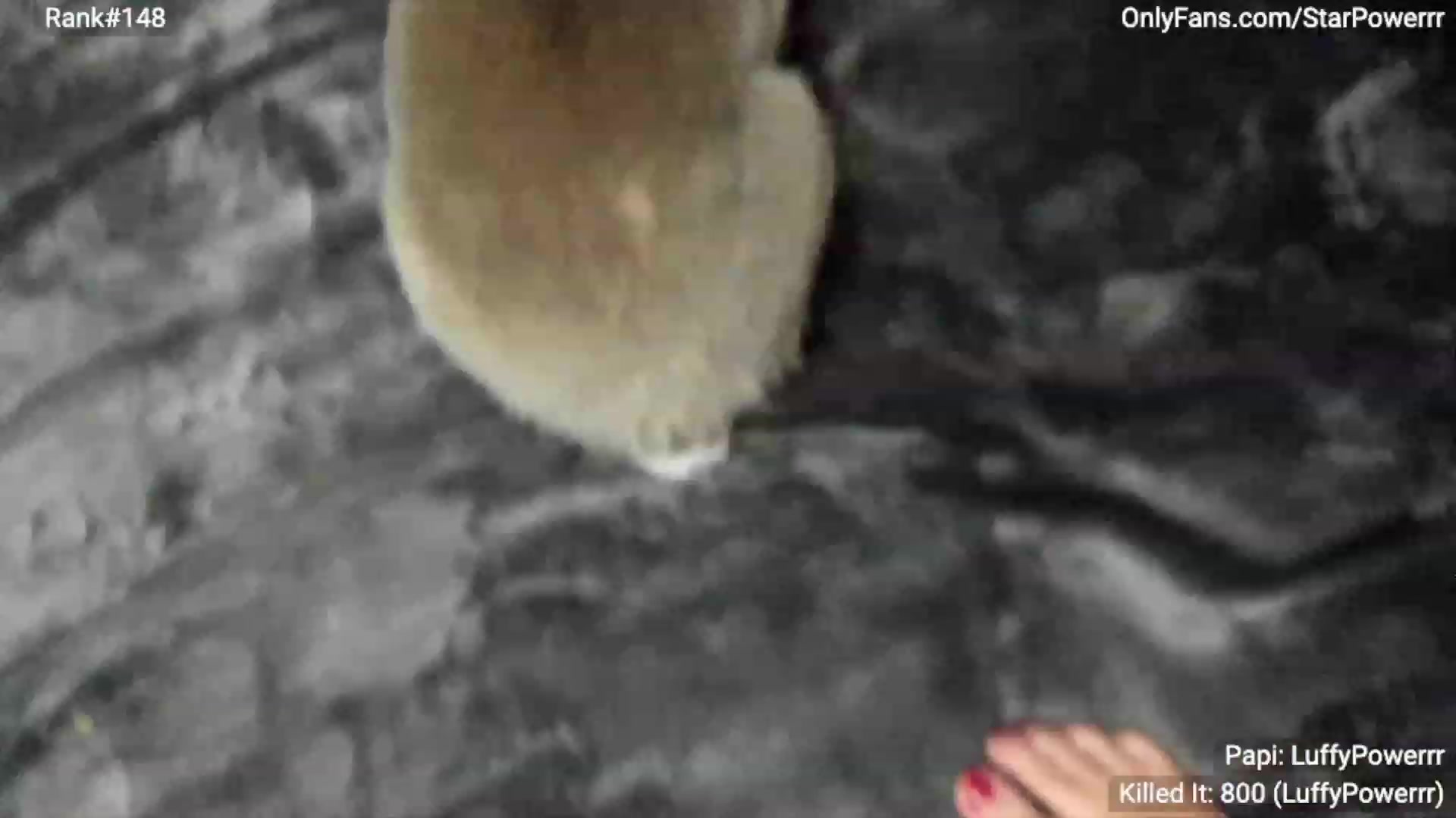 Gallery image thumbnail from StarPowerrr's myfreecams stream on, 03/02/2024, 08:16 image 6 of 20