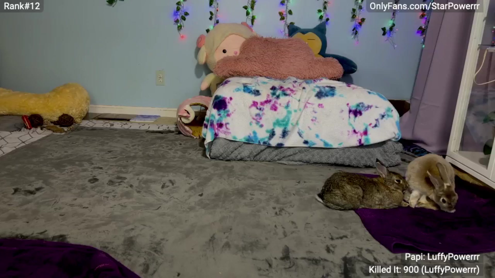 Gallery image thumbnail from StarPowerrr's myfreecams stream on, 04/22/2024, 08:26 image 9 of 20