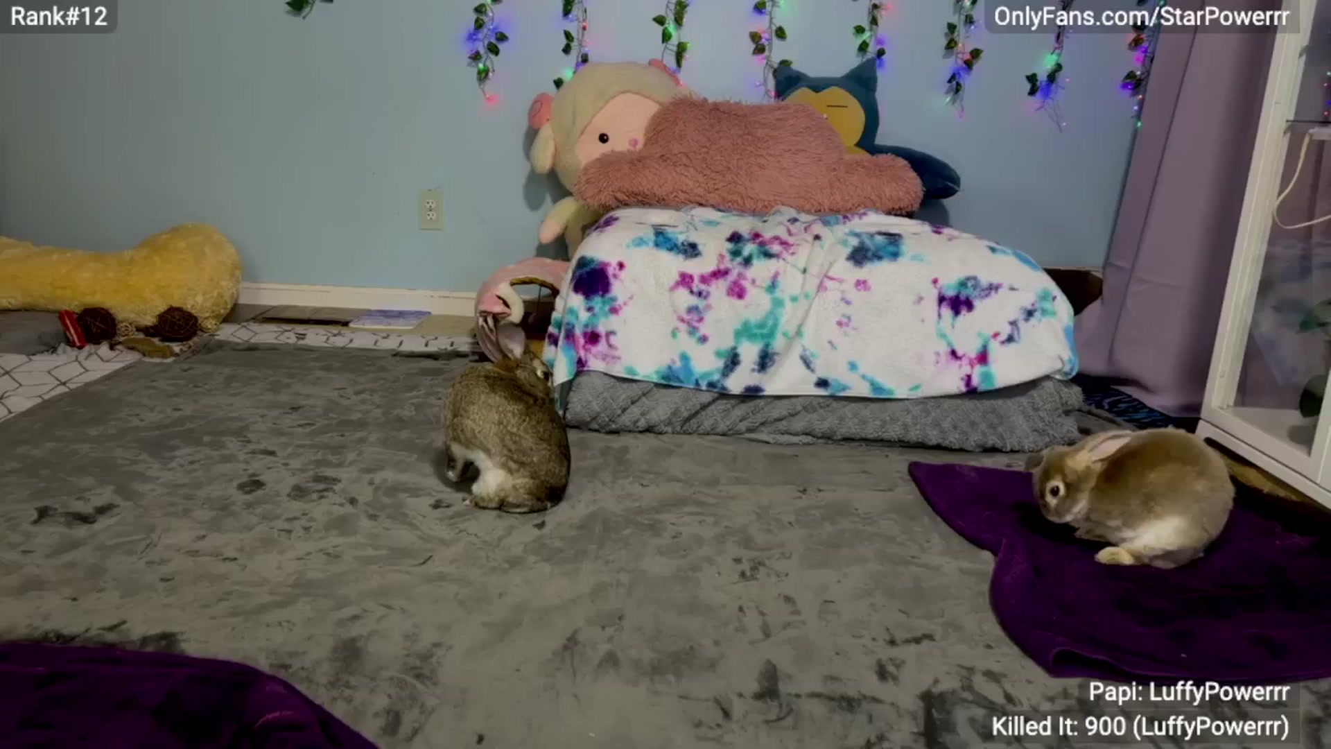 Gallery image thumbnail from StarPowerrr's myfreecams stream on, 04/22/2024, 08:26 image 10 of 20