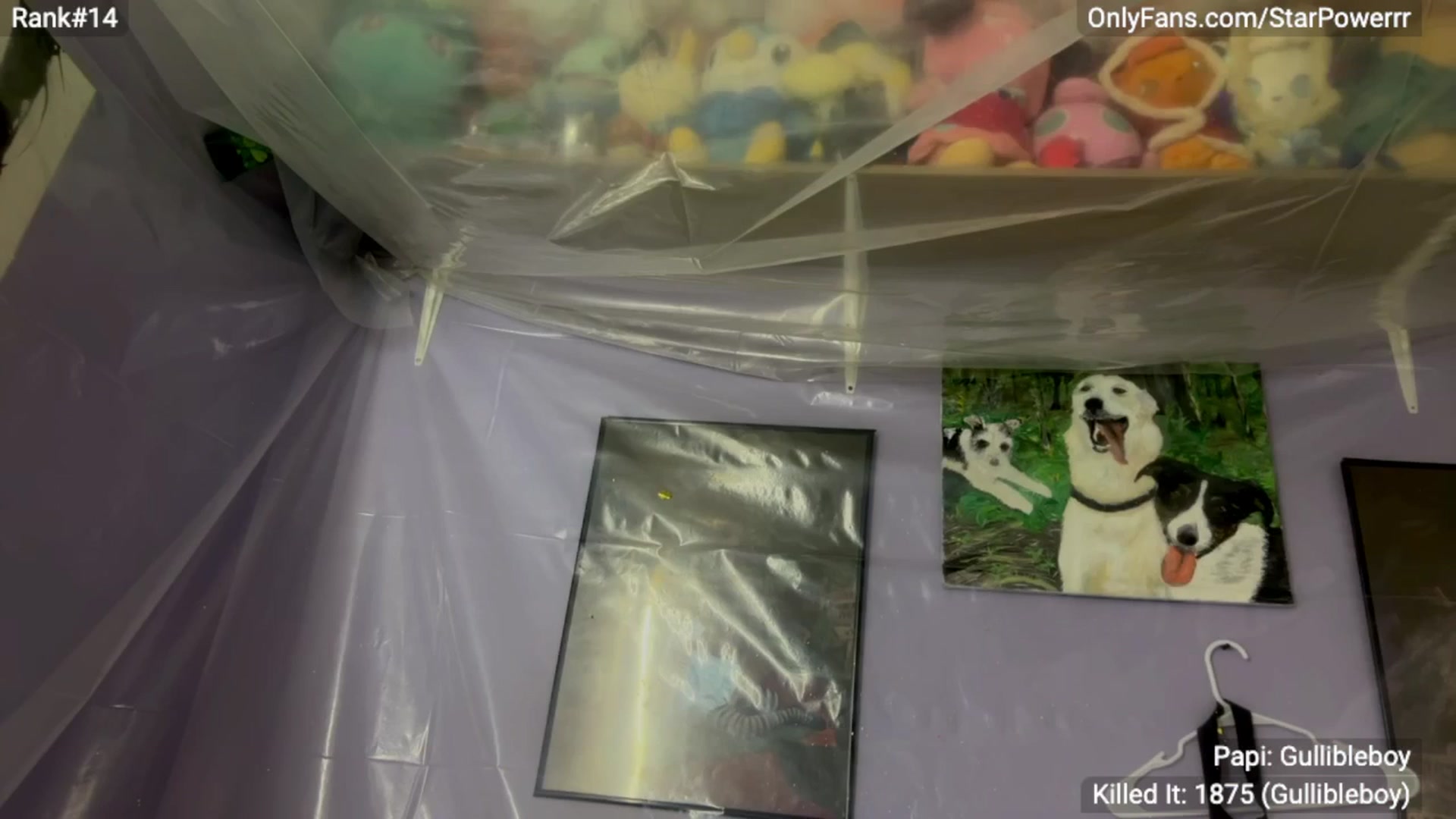 Gallery image thumbnail from StarPowerrr's myfreecams stream on, 04/29/2024, 04:42 image 18 of 20