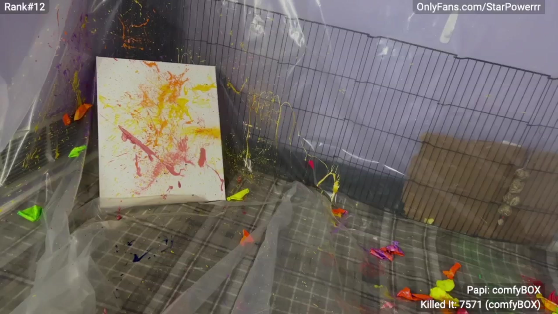 Gallery image thumbnail from StarPowerrr's myfreecams stream on, 04/29/2024, 07:42 image 11 of 20