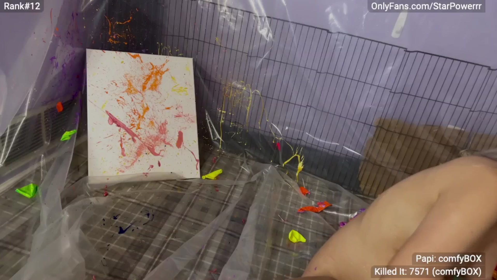 Gallery image thumbnail from StarPowerrr's myfreecams stream on, 04/29/2024, 07:42 image 10 of 20