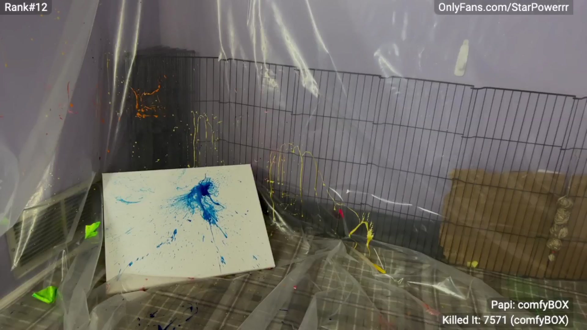Gallery image thumbnail from StarPowerrr's myfreecams stream on, 04/29/2024, 07:42 image 6 of 20