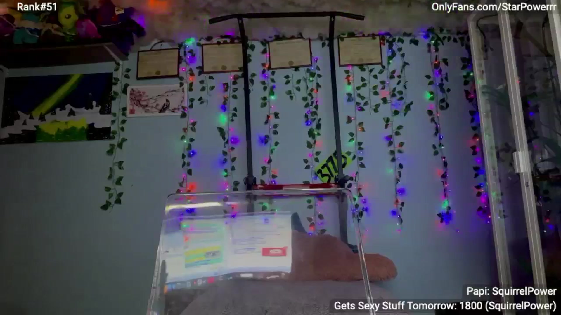 Gallery image thumbnail from StarPowerrr's myfreecams stream on, 07/31/2024, 08:17 image 14 of 20