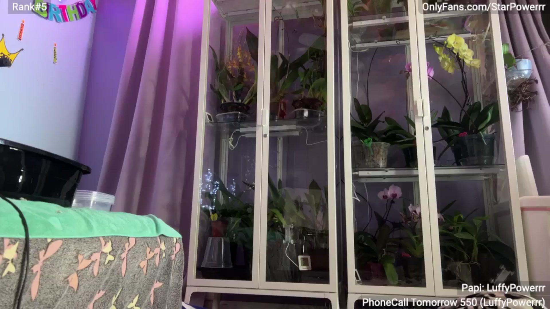 Gallery image thumbnail from StarPowerrr's myfreecams stream on, 11/11/2024, 09:30 image 7 of 20