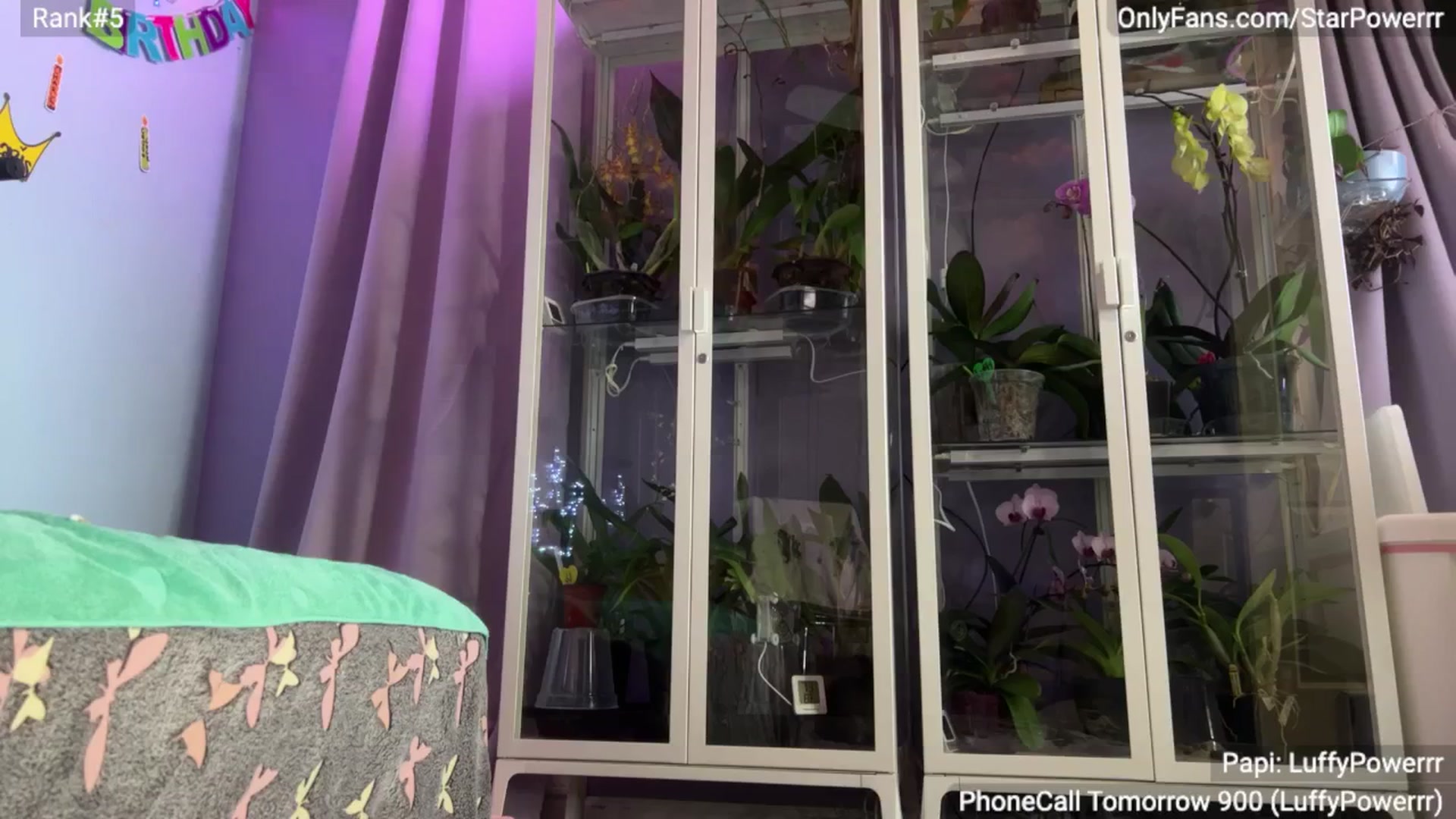 Gallery image thumbnail from StarPowerrr's myfreecams stream on, 11/11/2024, 09:30 image 9 of 20