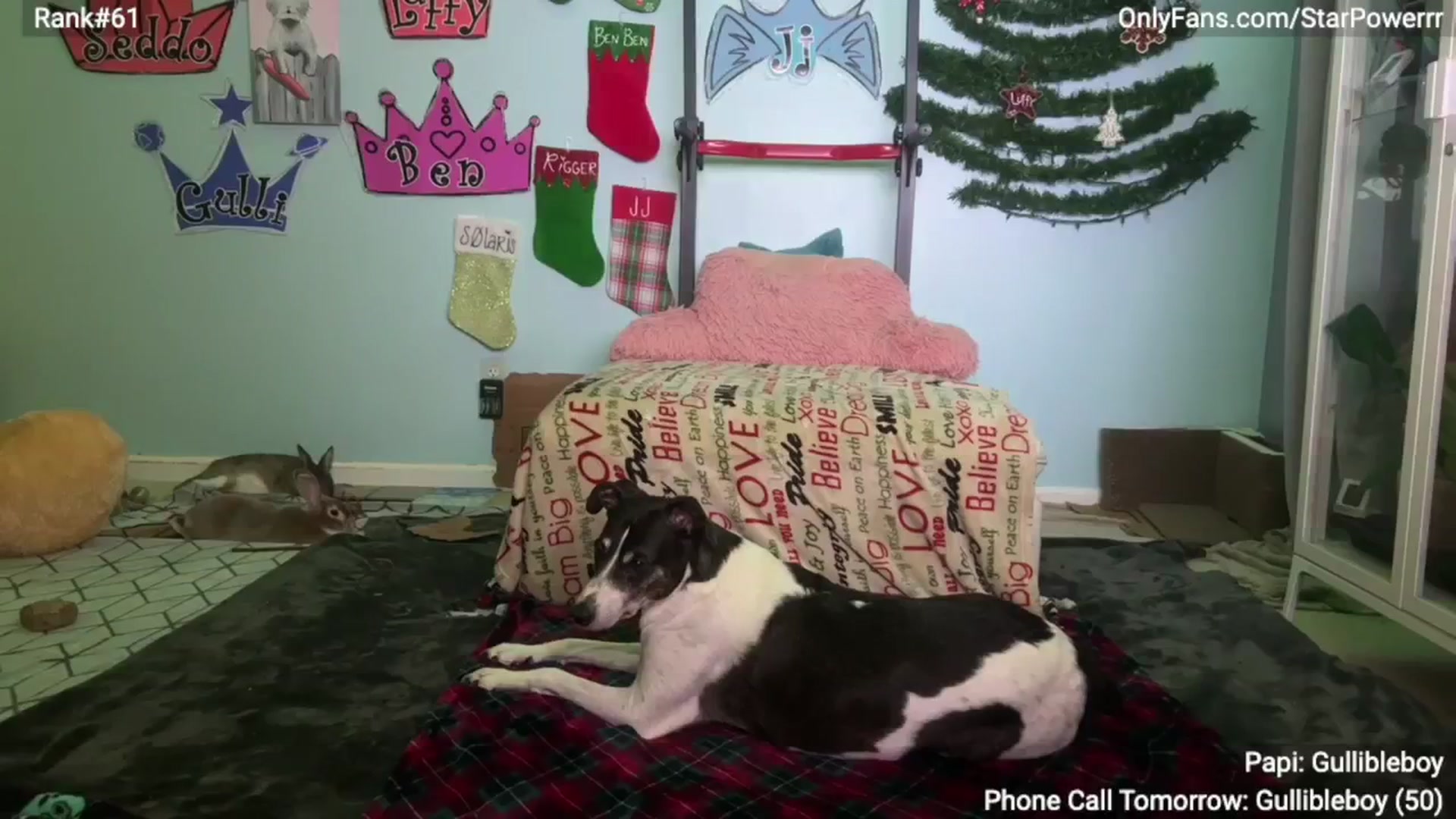 Gallery image thumbnail from StarPowerrr's myfreecams stream on, 12/11/2024, 10:17 image 4 of 20