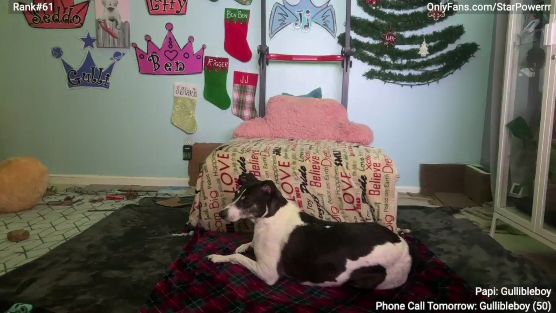 Gallery image thumbnail from StarPowerrr's myfreecams stream on, 12/11/2024, 10:17 image 3 of 20