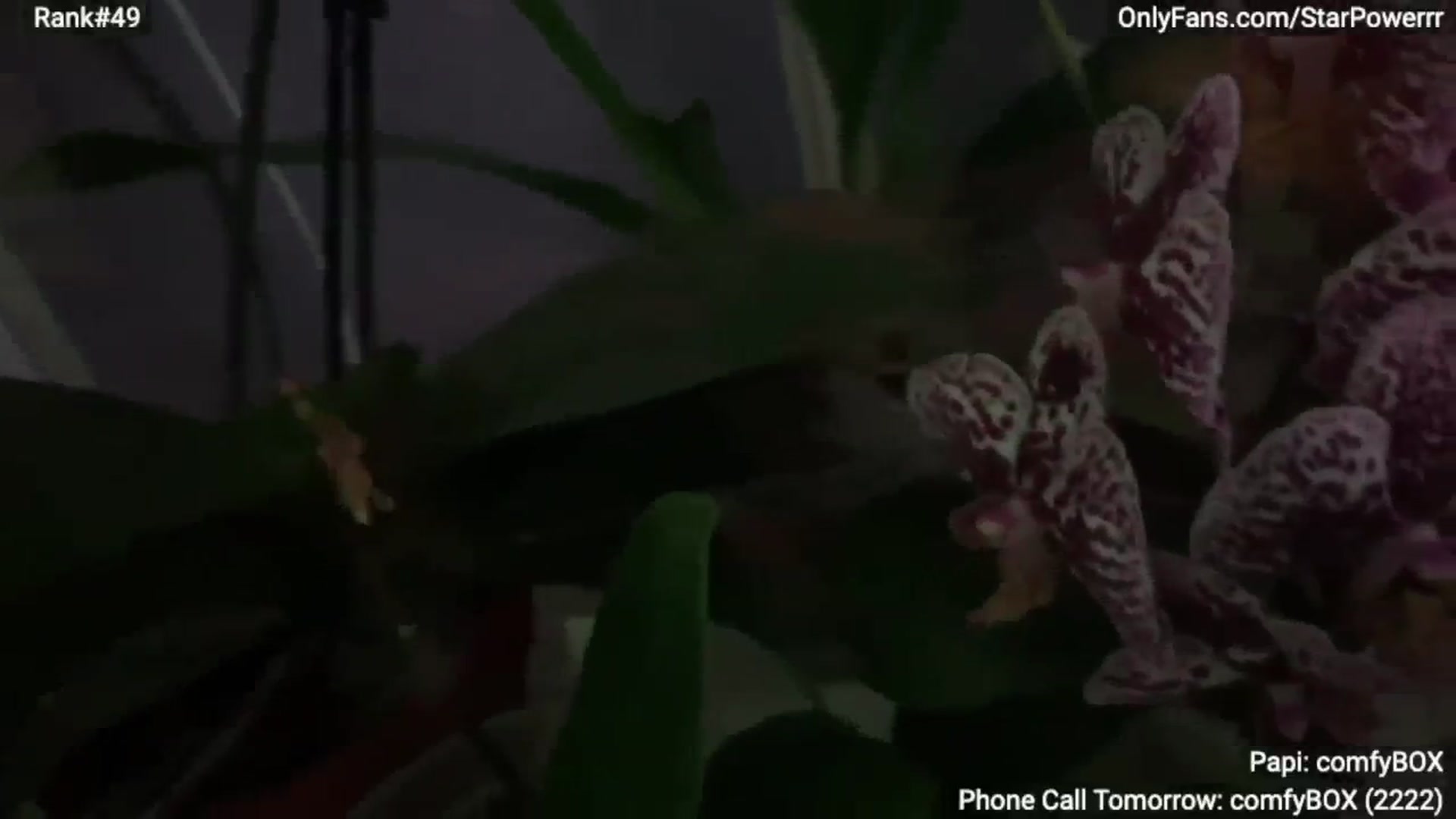 Gallery image thumbnail from StarPowerrr's myfreecams stream on, 12/16/2024, 12:57 image 14 of 20