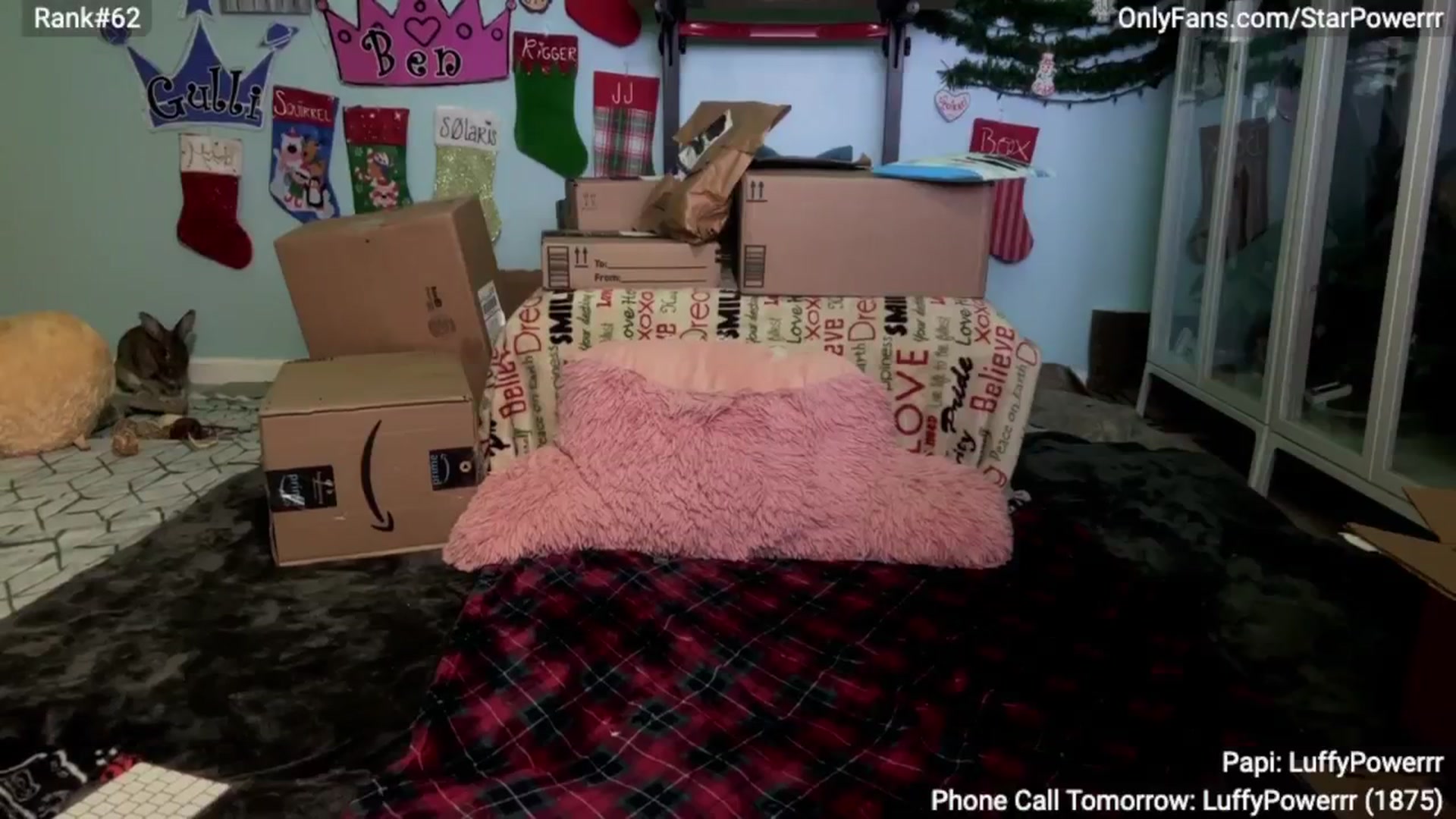 Gallery image thumbnail from StarPowerrr's myfreecams stream on, 12/25/2024, 11:23 image 2 of 20