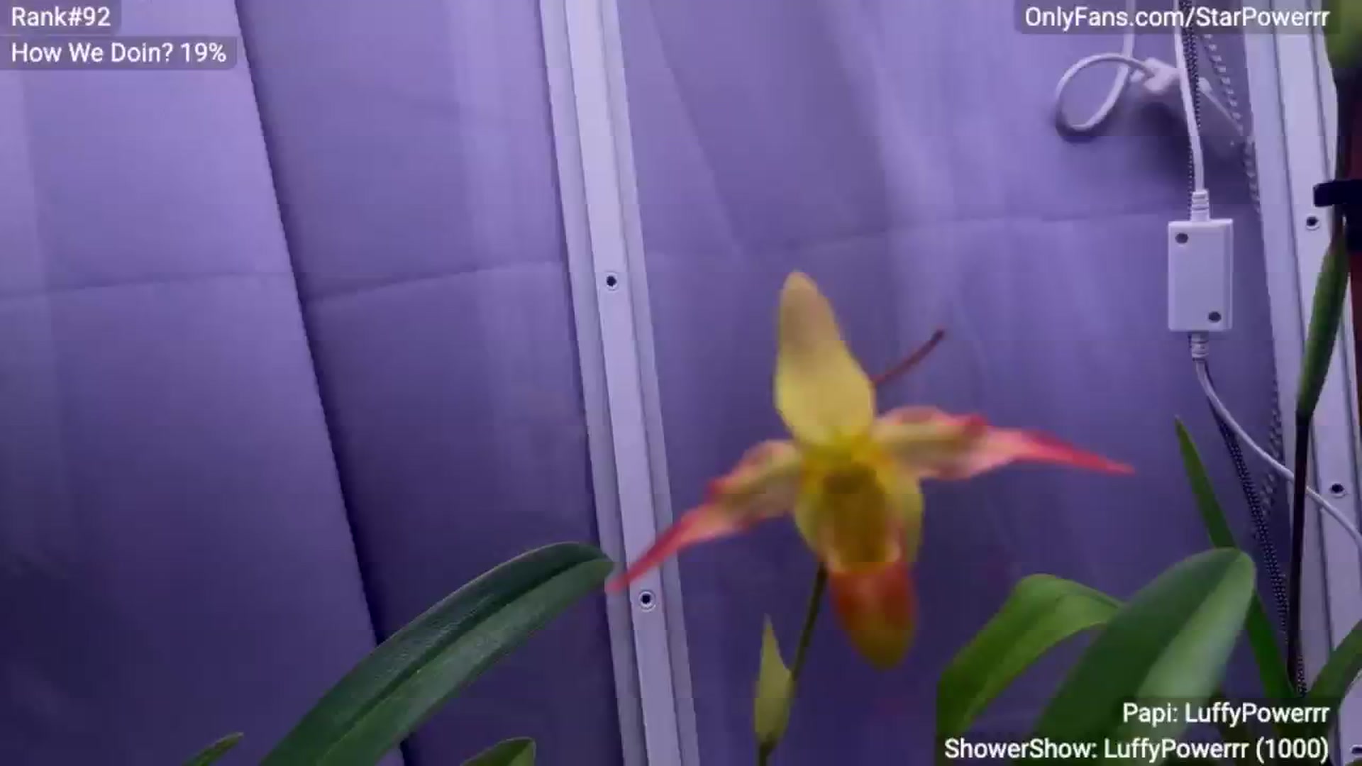 Gallery image thumbnail from StarPowerrr's myfreecams stream on, 03/02/2025, 05:13 image 1 of 20