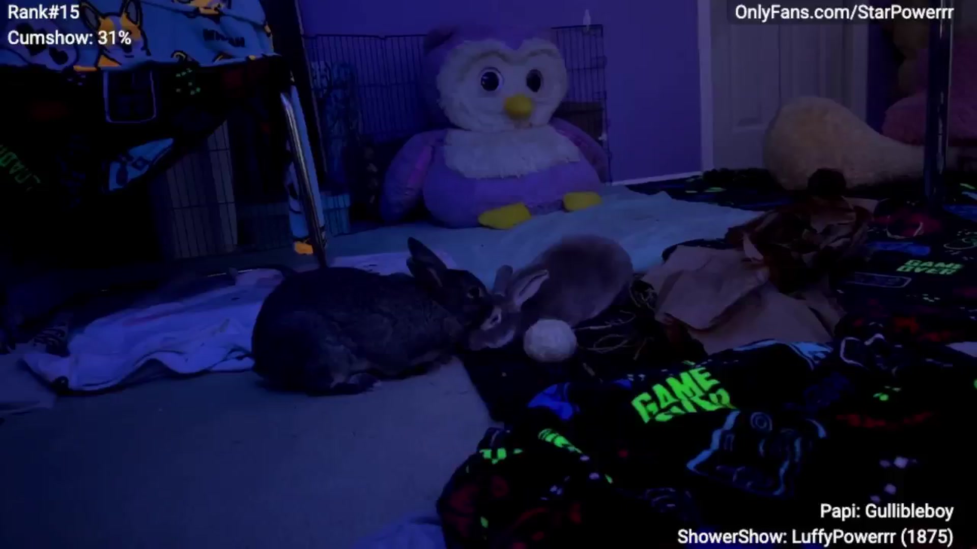 Gallery image thumbnail from StarPowerrr's myfreecams stream on, 04/05/2025, 10:40 image 7 of 20