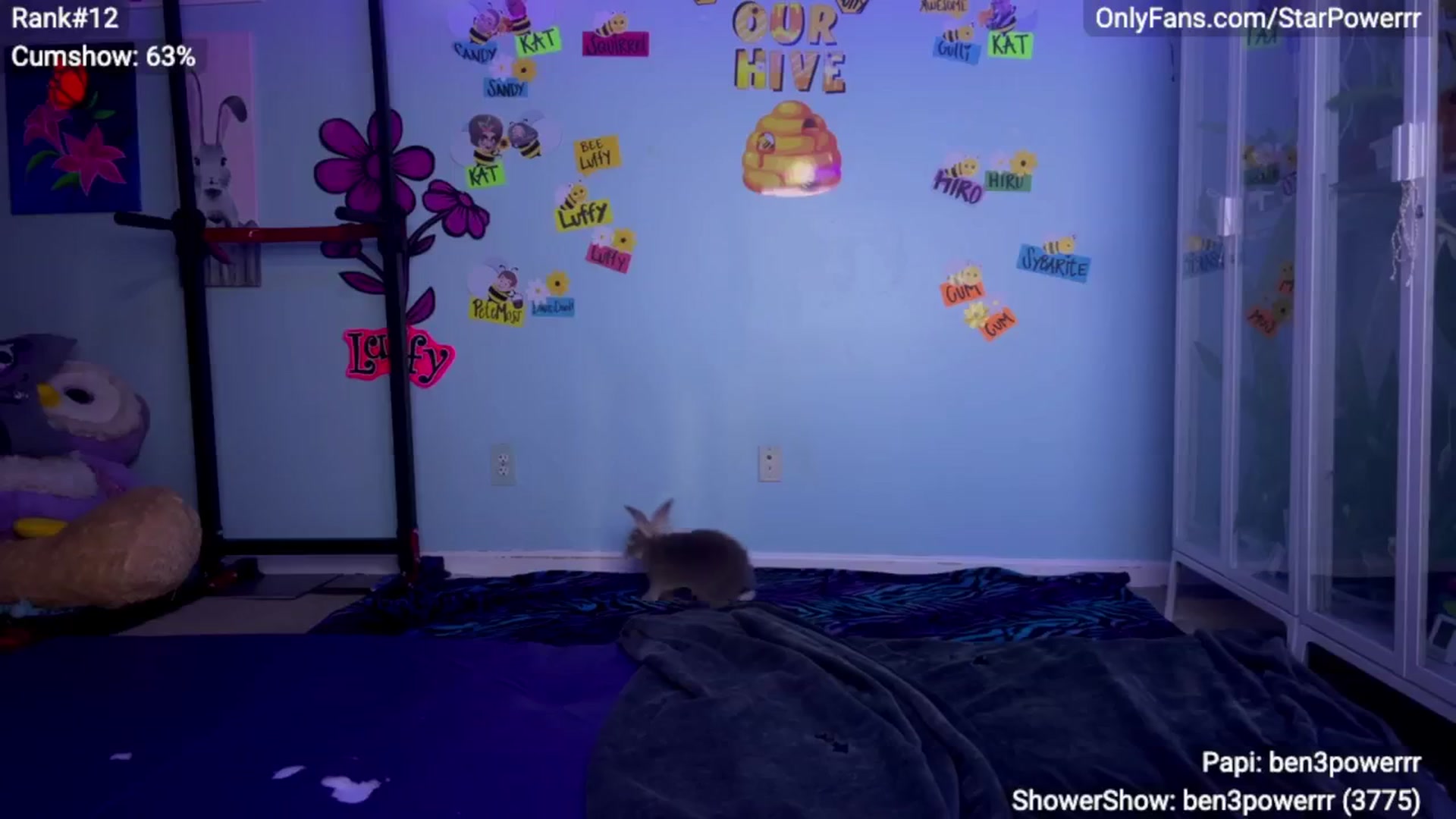 Gallery image thumbnail from StarPowerrr's myfreecams stream on, 04/08/2025, 12:22 image 16 of 20