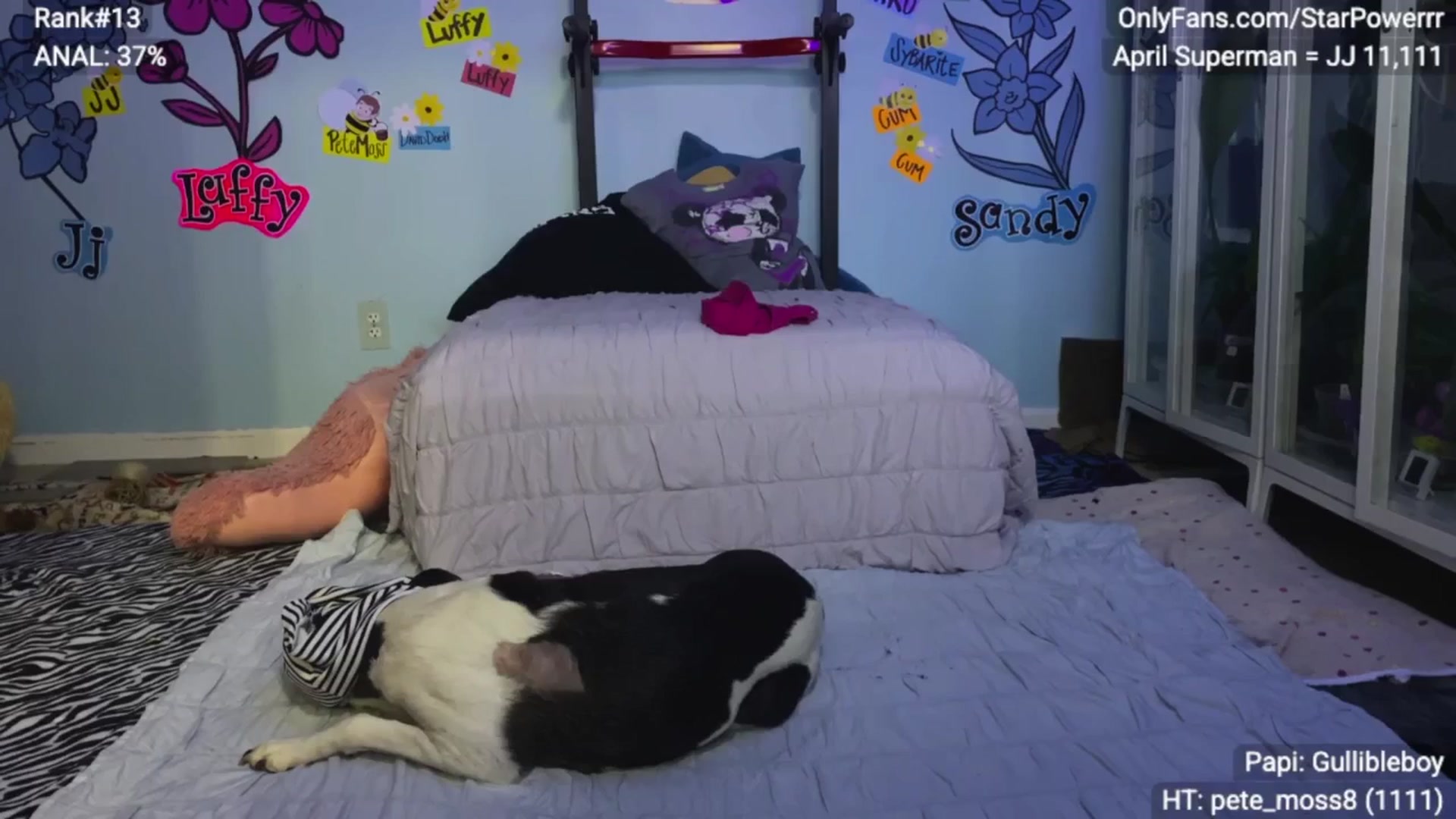 Gallery image thumbnail from StarPowerrr's myfreecams stream on, 04/24/2025, 08:17 image 14 of 20