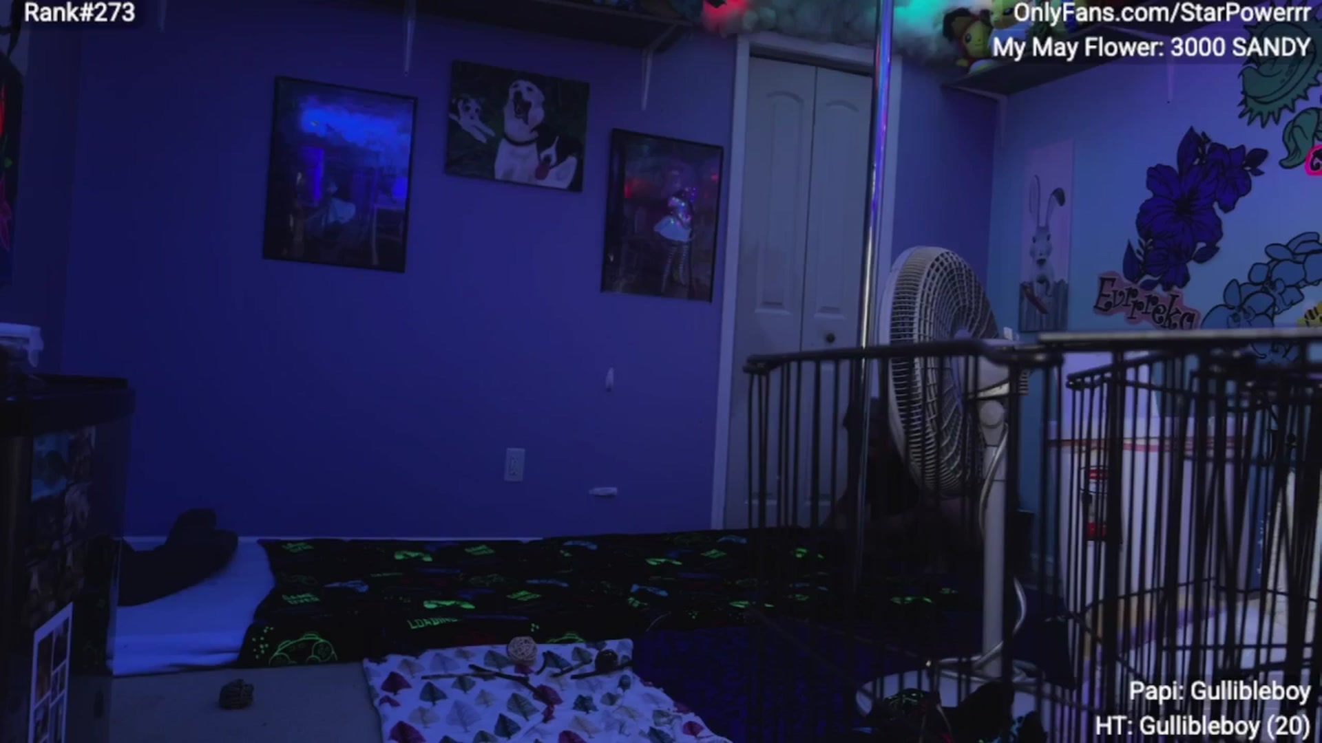 Gallery image thumbnail from StarPowerrr's myfreecams stream on, 05/09/2025, 04:38 image 14 of 20