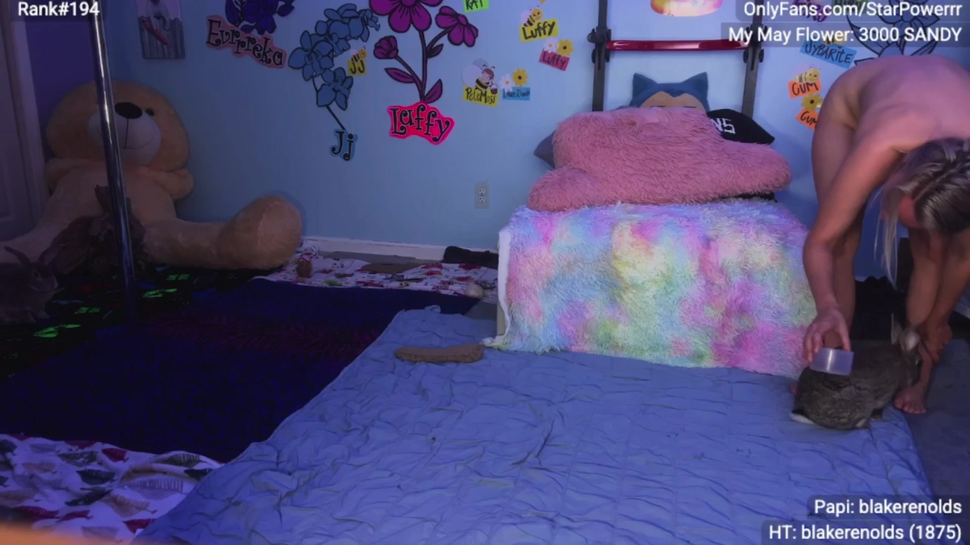 Gallery image thumbnail from StarPowerrr's myfreecams stream on, 05/09/2025, 08:39 image 16 of 20